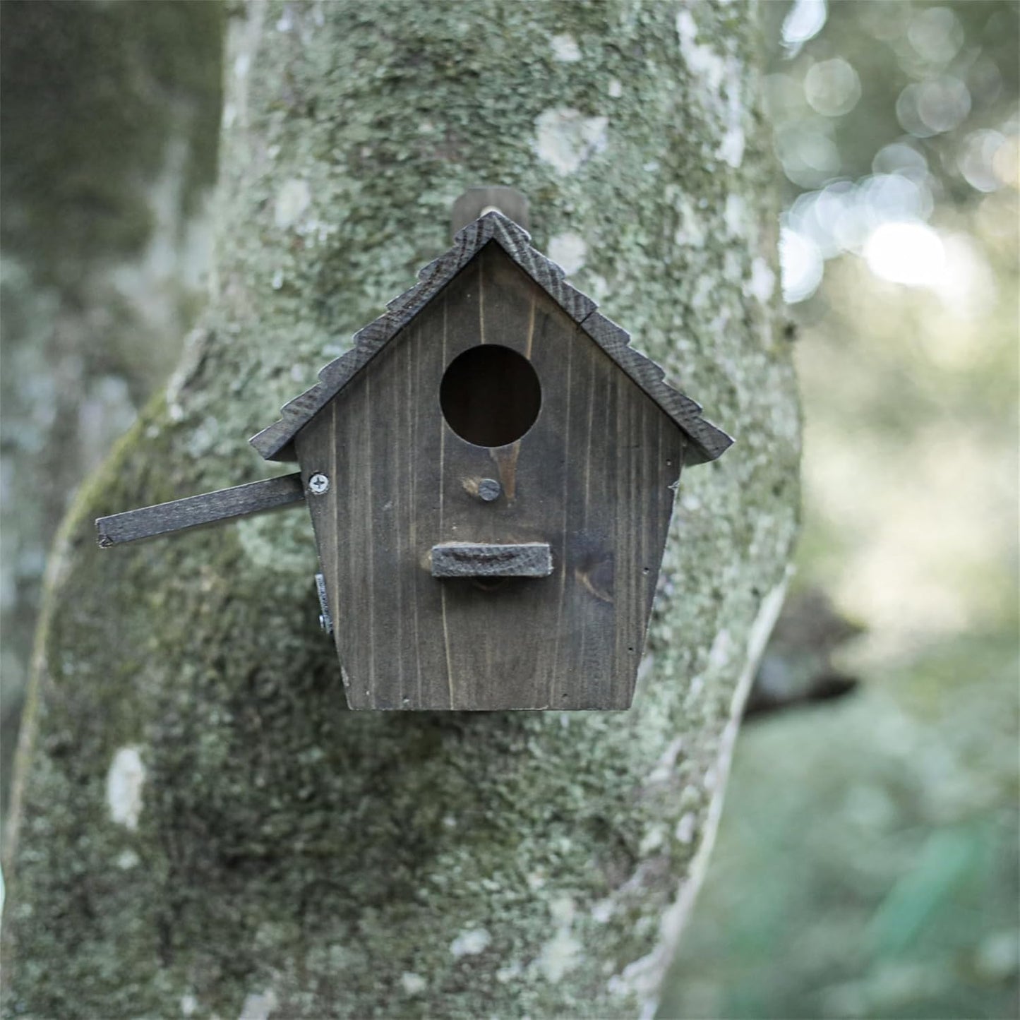 Outdoor Wooden Bird House - Weather-Resistant Hanging Garden Birdhouse Attracts Finches, Bluebirds, and Cardinals - Black Easy-Clean Birdhouse