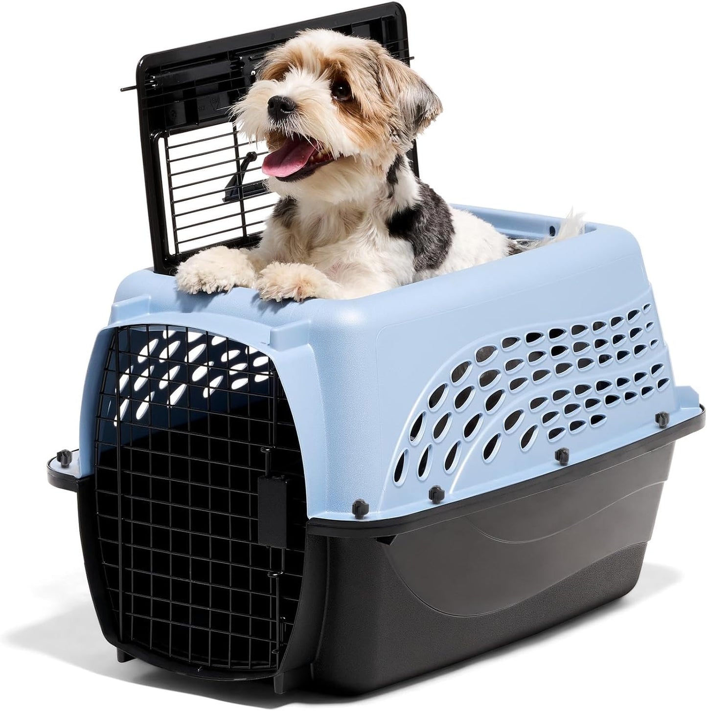 Petmate Dog Crates for Small Dogs & Cat Carriers, Two-Door Plastic Pet
