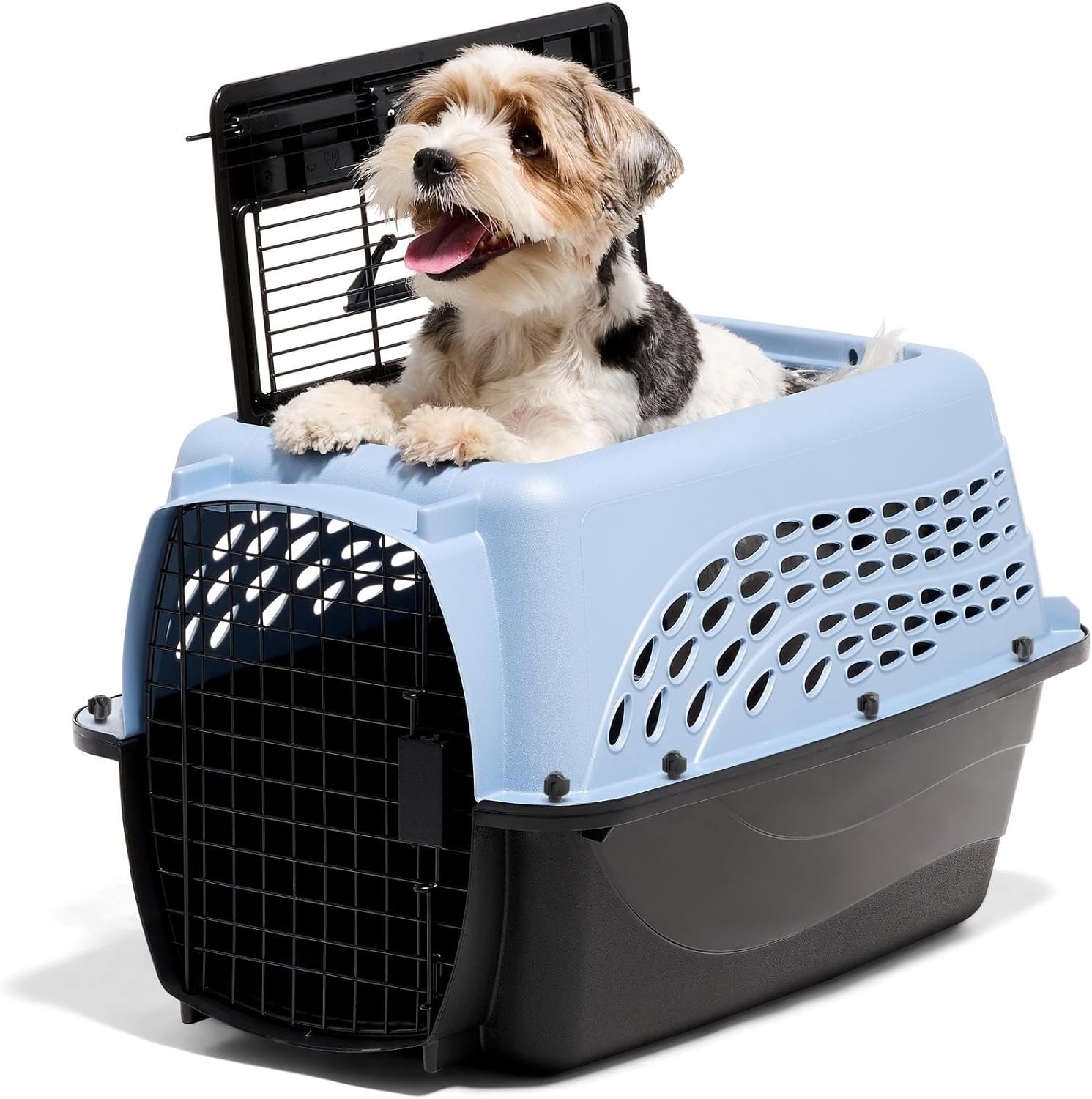 Petmate Dog Crates for Small Dogs & Cat Carriers, Two-Door Plastic Pet