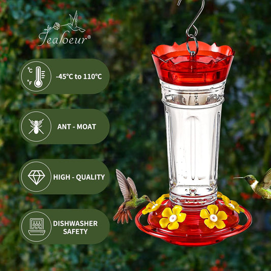 2 Pack Hummingbird Feeder for Outdoors Hanging, 18 OZ Humming Birds Feeders with 6 Bee Guard Feeding Ports & Built-in Ant Moat, Easy to Clean, Durable Outdoor Garden Decor(Clear BB)