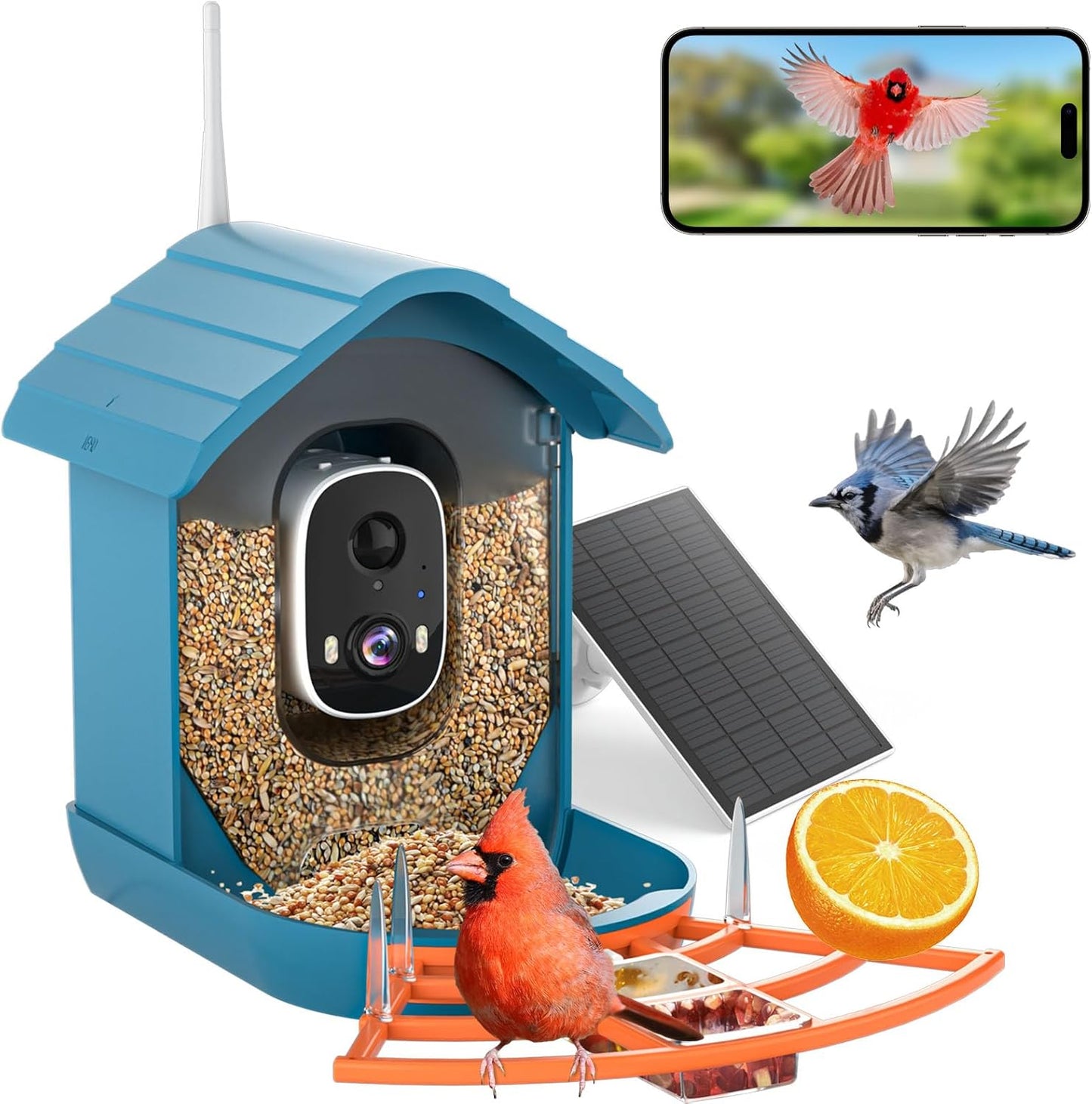 Bird Feeder with Camera, AI Bird Identification, Full HD Live Video, Solar Powered, 2.4Ghz WiFi, Instant Arrival Alerts