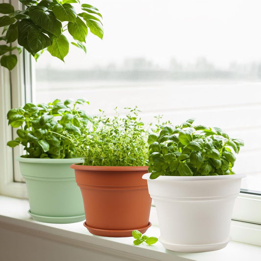 6 Inch Plastic-Flower Pot-for-Indoor Plants, 6 Pack Outdoor Plant Pots