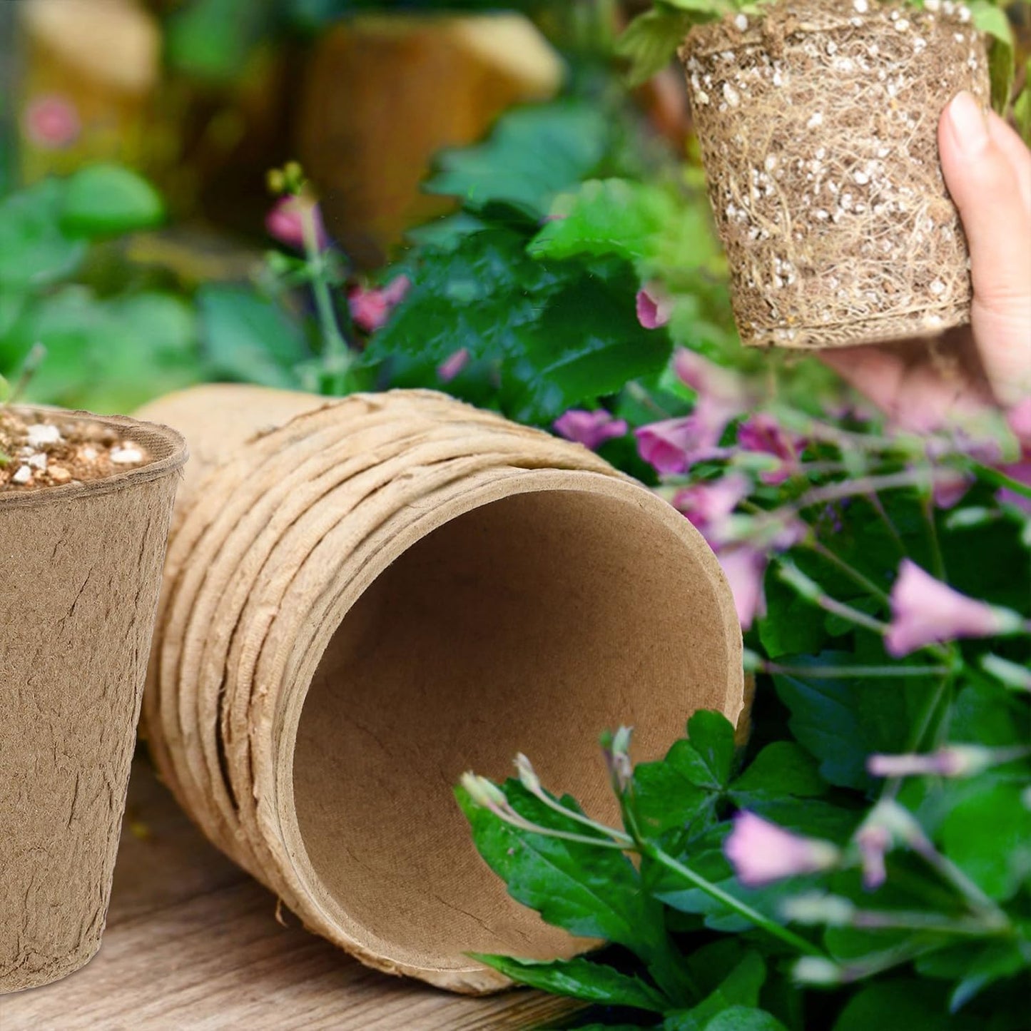 50 Pack 4 Inch Peat Pots, Biodegradable Seed Starter Pots with Drainag