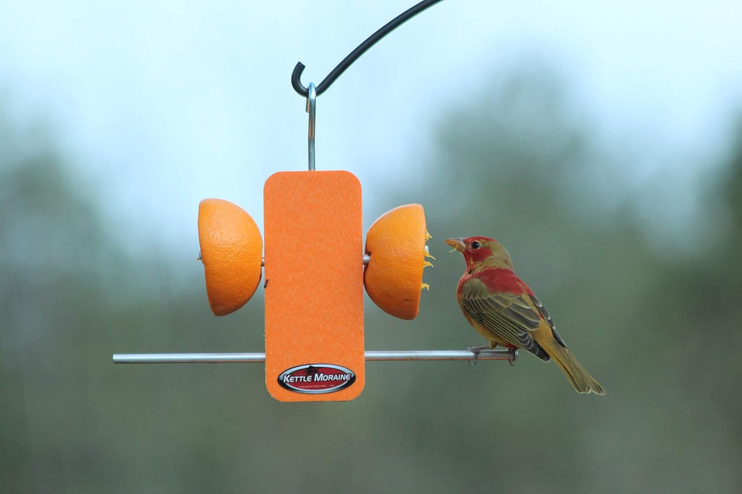 Kettle Moraine Recycled Single Oriole Orange Fruit Stick Feeder