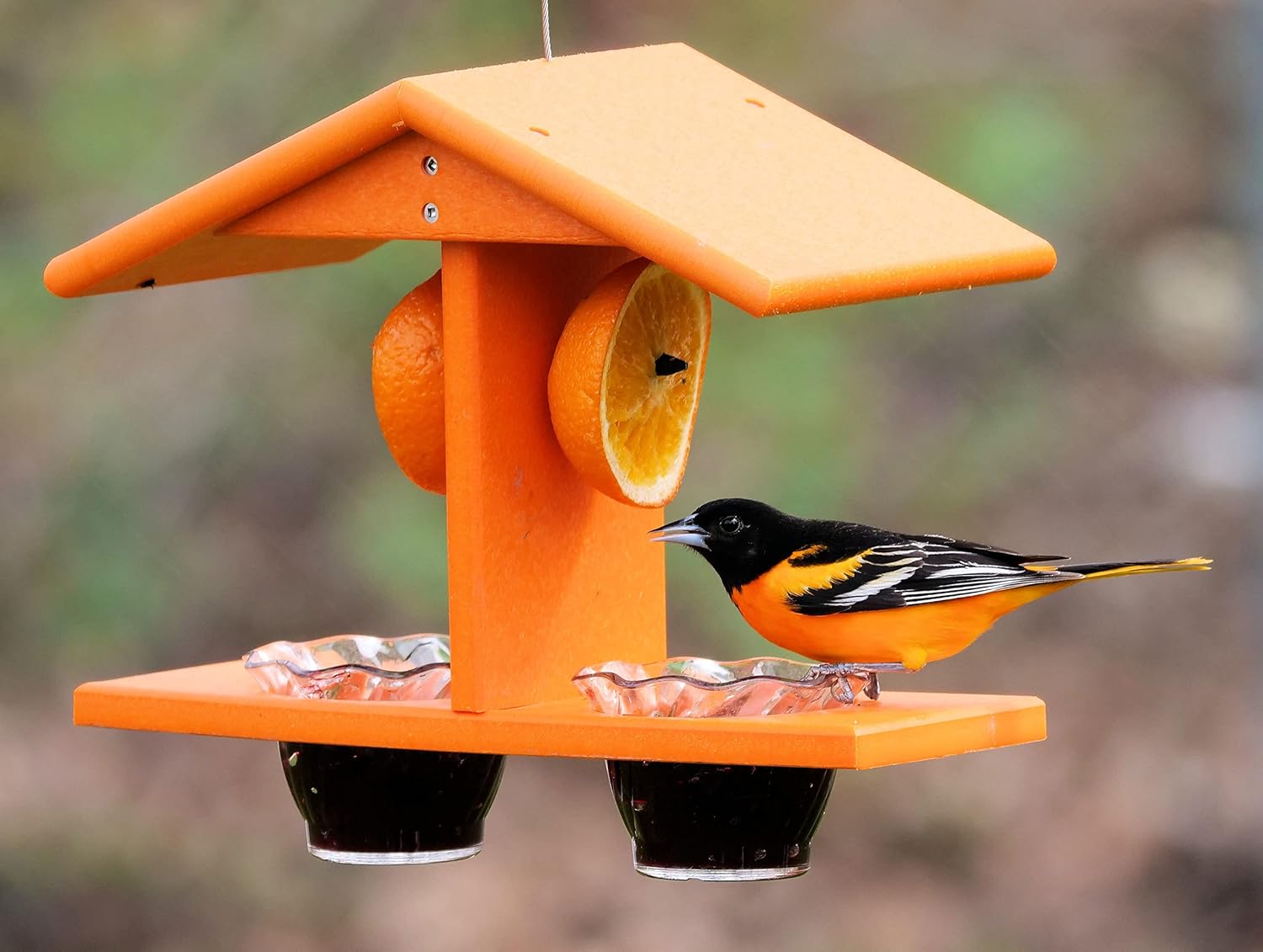 AmishToyBox.com Oriole Bird Feeder, Double-Cup Jelly Oriole Feeder wit
