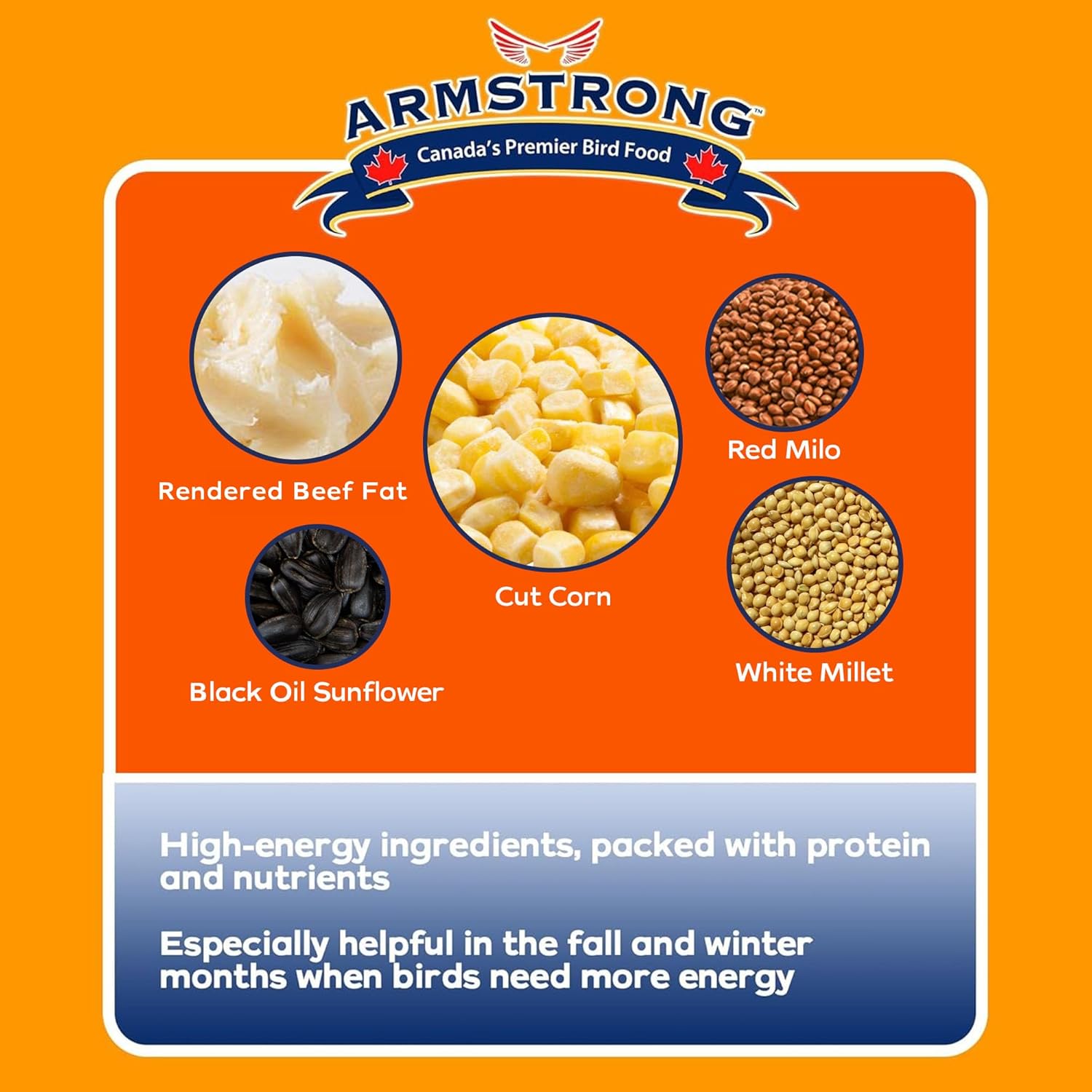 Armstrong Wild Bird Food Four Season Suet Cake, 11.3 Ounces (Pack of 3