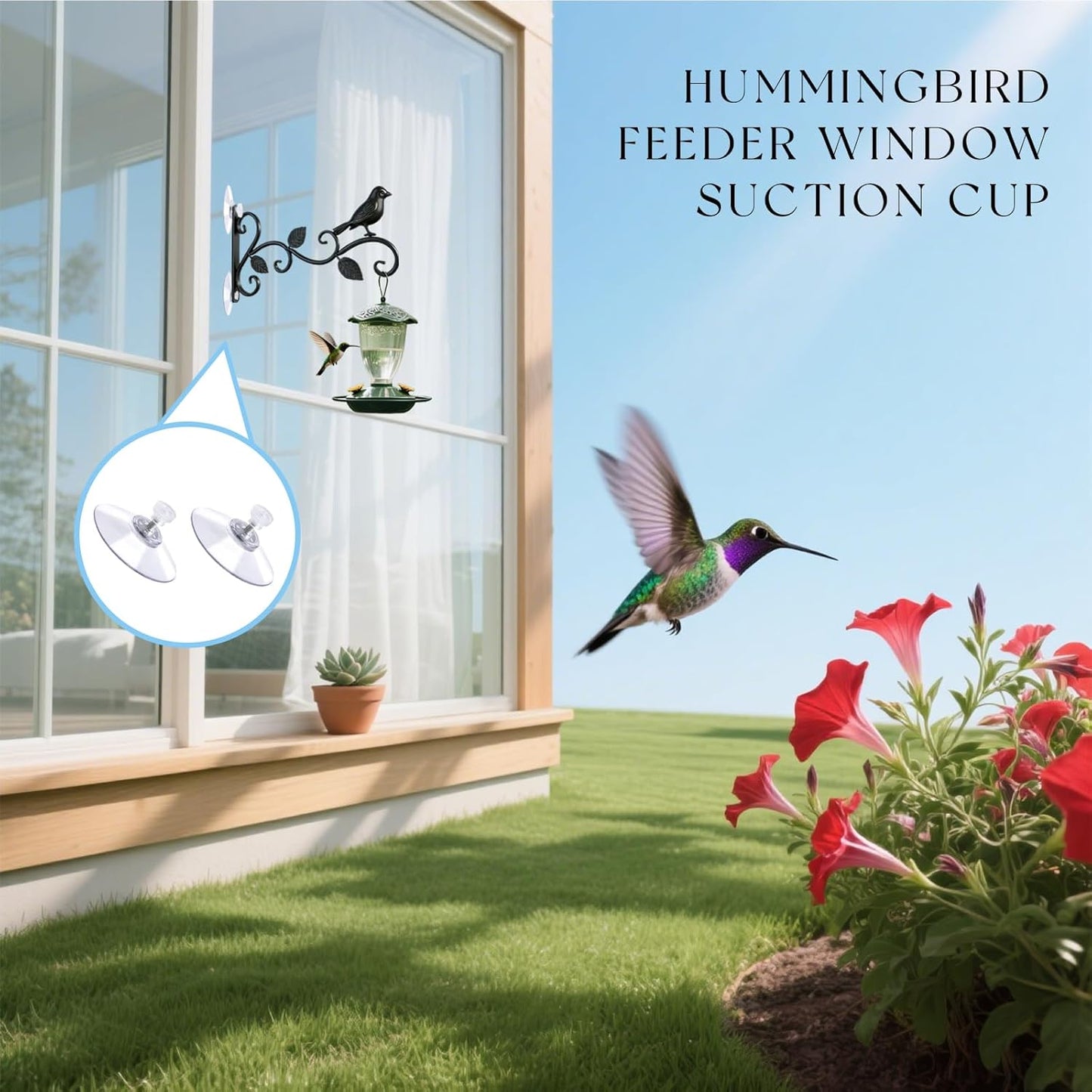 2-Pack Heavy Duty Window Suction Hooks Vine Design Hummingbird – Stron
