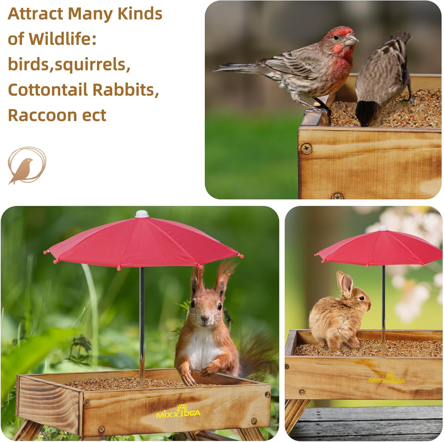 Ground Bird Feeder for Outdoors Bird&Squirrel Feeder Wooden Chicken Pi