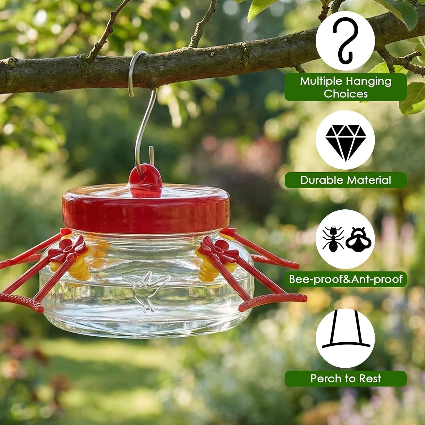 6 OZ Glass Hummingbird Feeders for Outdoors Hanging 2 Pack,Mason Jar Hummingbird Feeder with 4 Flower Feeding Ports and Perches,Easy to Clean and Refill,Decoration,Transparent