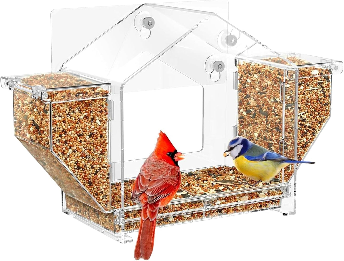 Bird Feeder for Window - Suction Cup Clear Yard Feeding Box | Squirrel