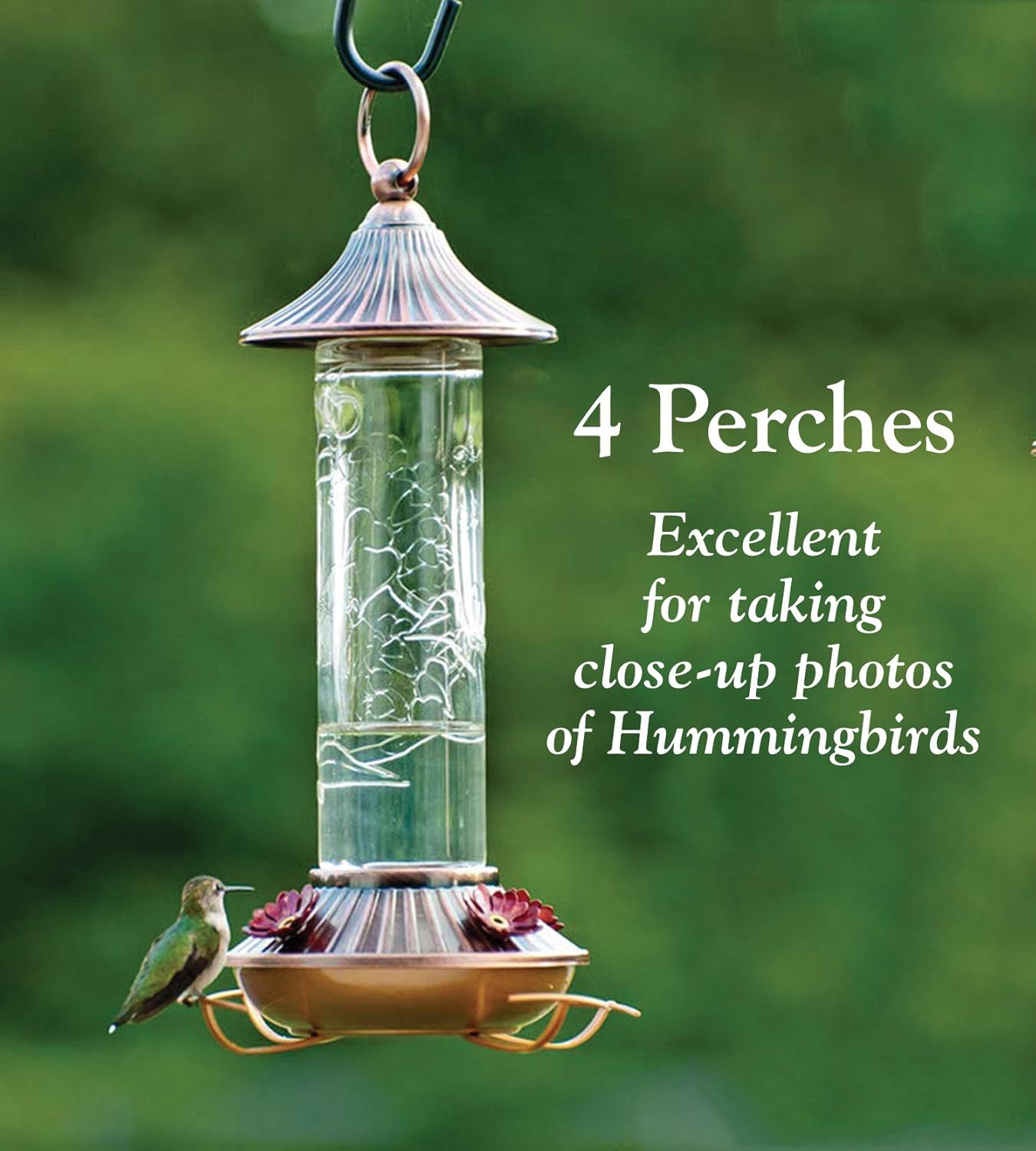 Audubon NA35240 Etched Glass Hummingbird Feeder, 14 oz, White
