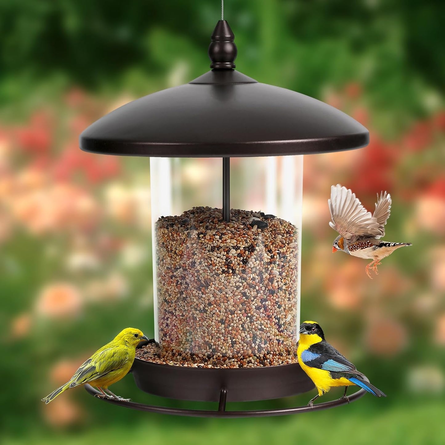Metal Bird Feeder for Outdoors Hanging,3.0LB Seed Feeder,Easy to Fill 