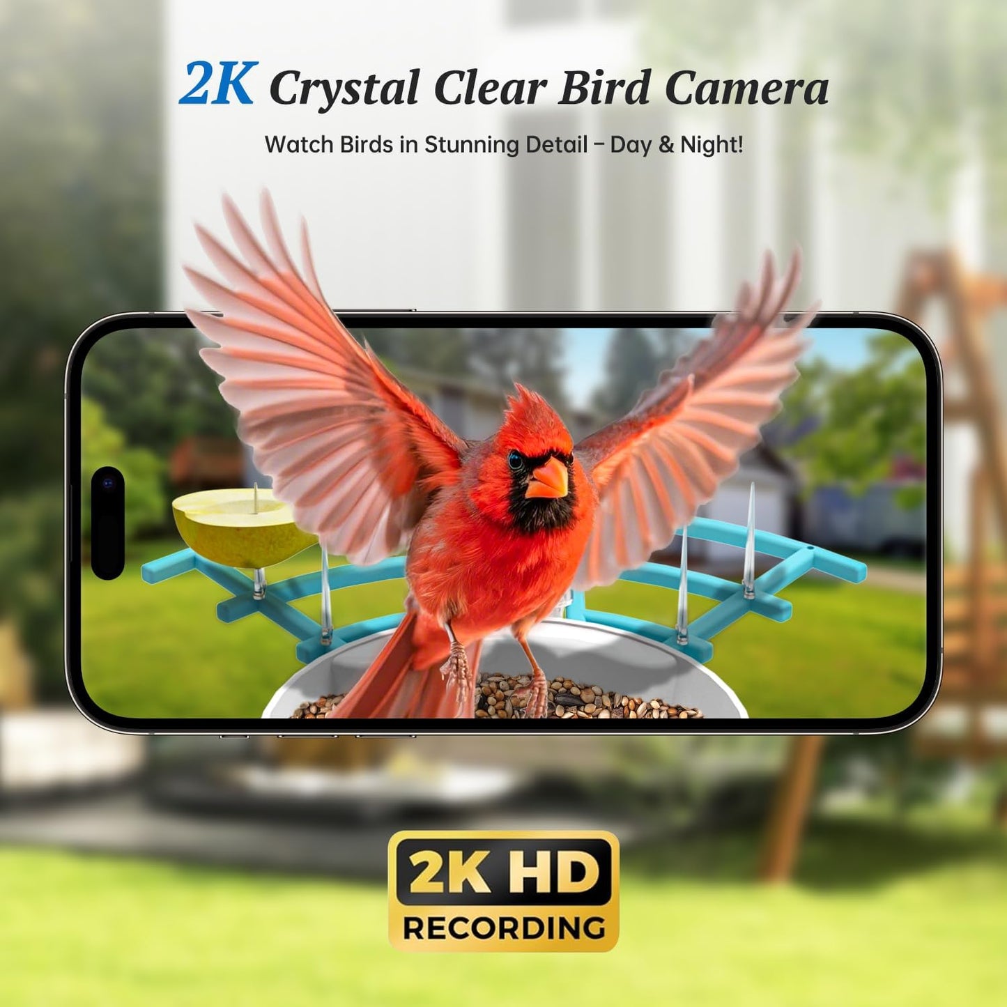 Smart Bird Feeder with Camera, 2K HD AI Identify Birds Species, Bir d Watching Camera with Solar Panel, Auto Capture Bird Videos & Instant Notifications, Ideal Present for Bir d Lover, Blue