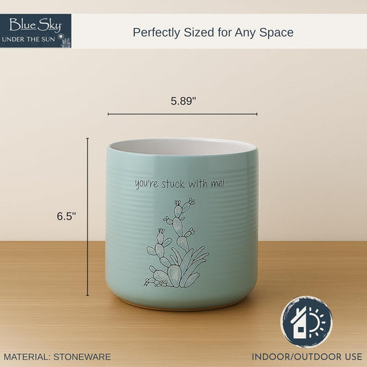 Sanora Cactus 6.5'' Flower Pot, Multi Color