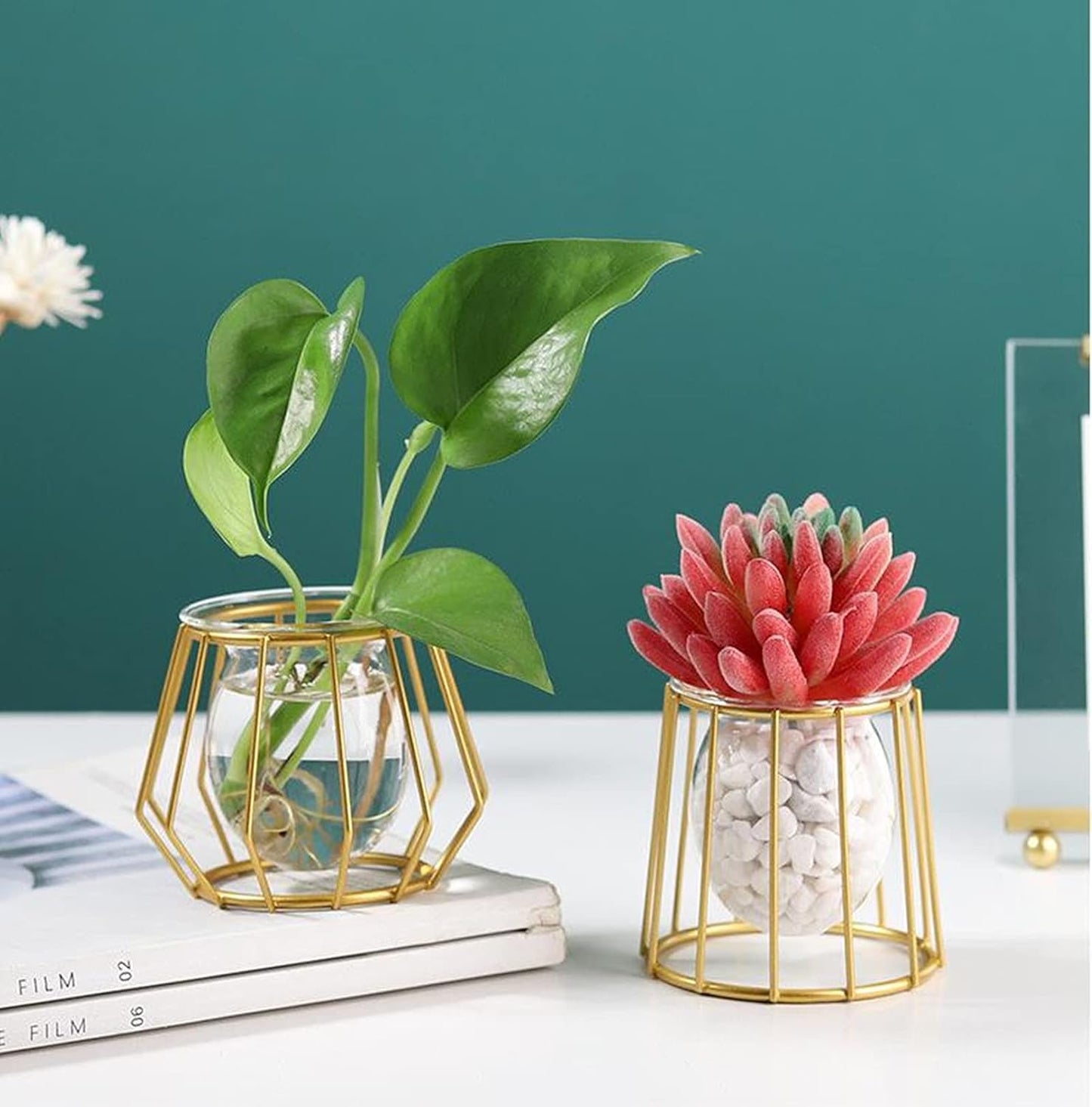 Glass Vase Nordic Small Flower Vase Clear Glass Bud Vases with Metal Geometric Iron Line Cup Vase Pot for Hydroponic Planter Flowers Rack Stand Modern Home Décor Desktop Table Vase Decor (Black,D)