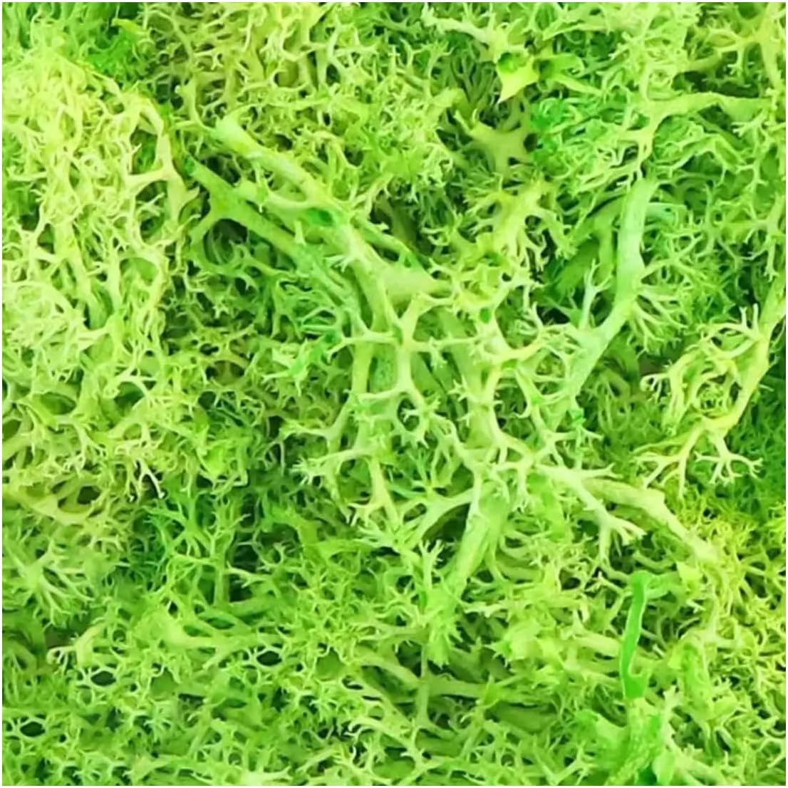 Queenbox 3.5oz Faux Moss, Solid Artificial Decorative Plants for Flowerbed Art Landscape Home Office Garden Terrarium, 2