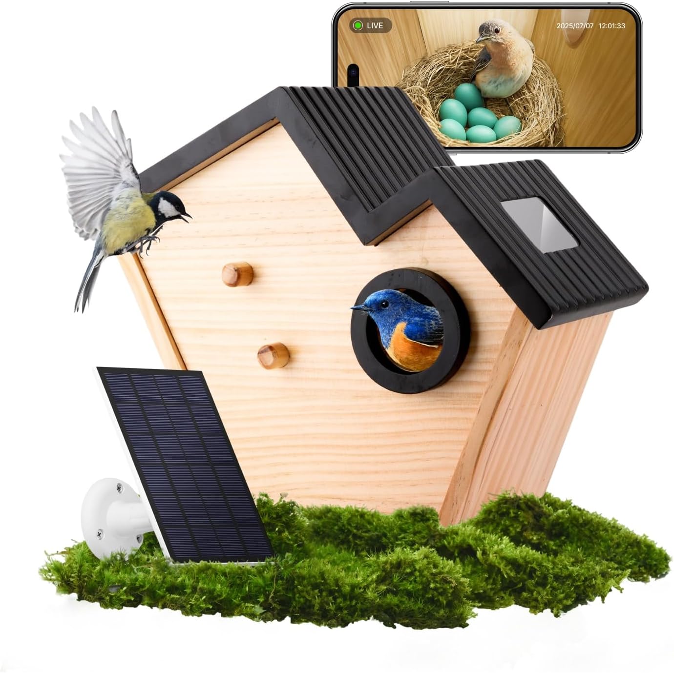 Smart Birdhouse with 2K HD Camera, Solar Powered & Battery, Night Visi