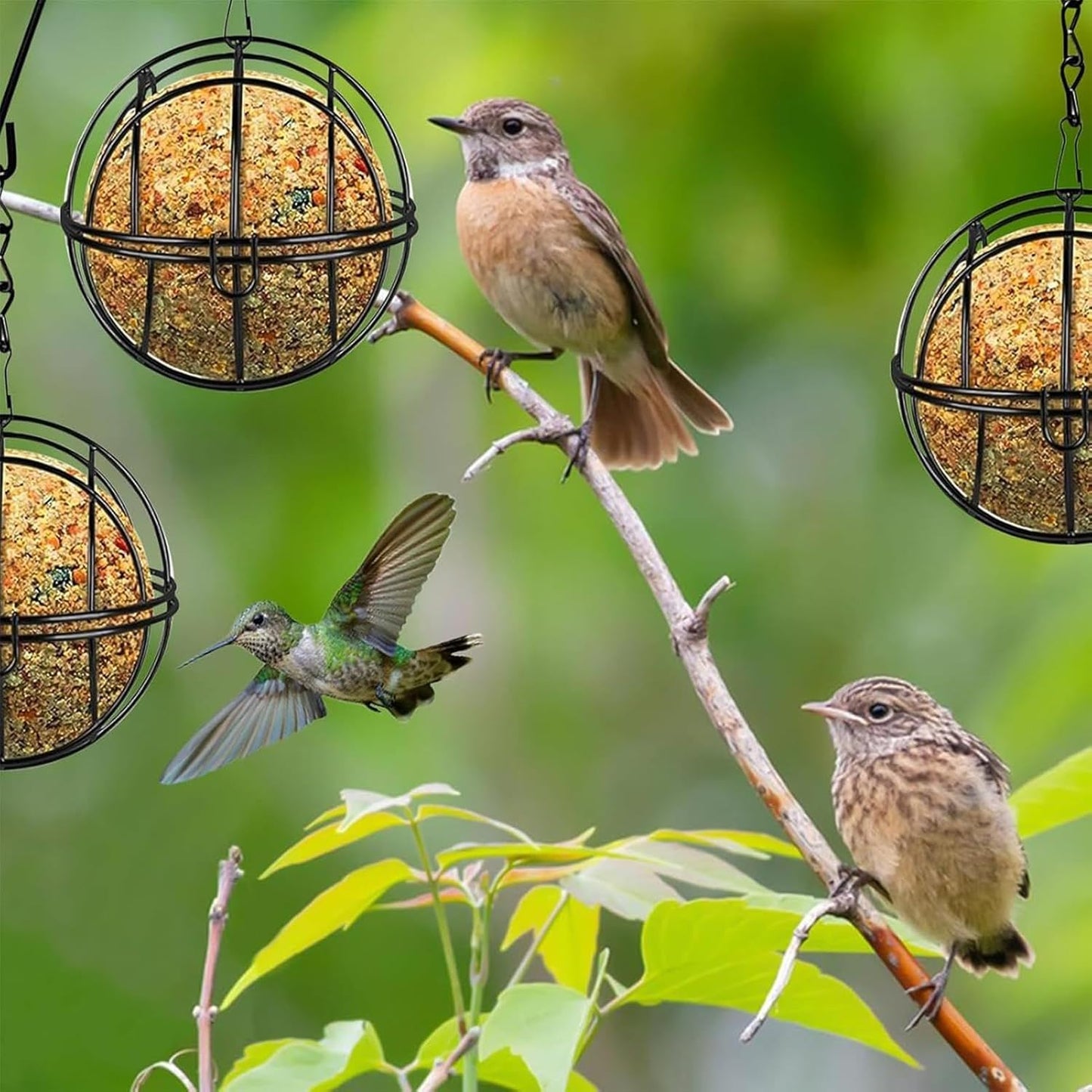 Metal Bird Feeder Set, 8 Pack Suet Ball Holders, Hangable Metal Sphere, Outdoor Ball Bird Feeder, Black Spherical Design, 7.5 x 28 cm, Hanging Garden Feeders for Wild Birds with Easy-Fill Opening
