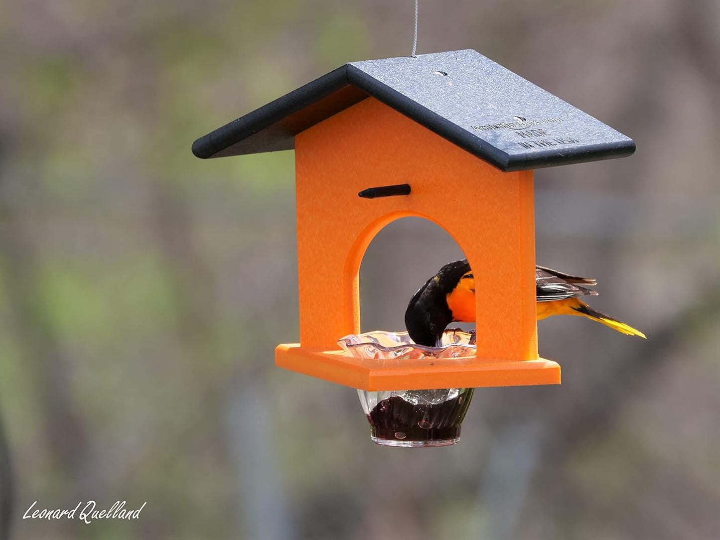 AmishToyBox.com Oriole Bird Feeder, Poly-Lumber Hanging Oriole Jelly Feeder (Orange)