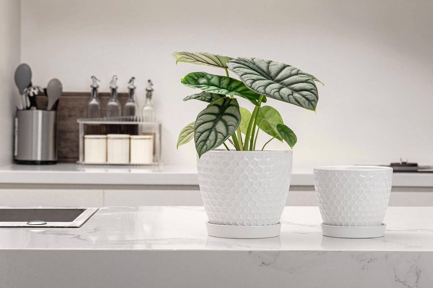 Docrin Ceramic Plant Pots Set of 2 (6.6"+5.5"), High-Fired Clay Indoor