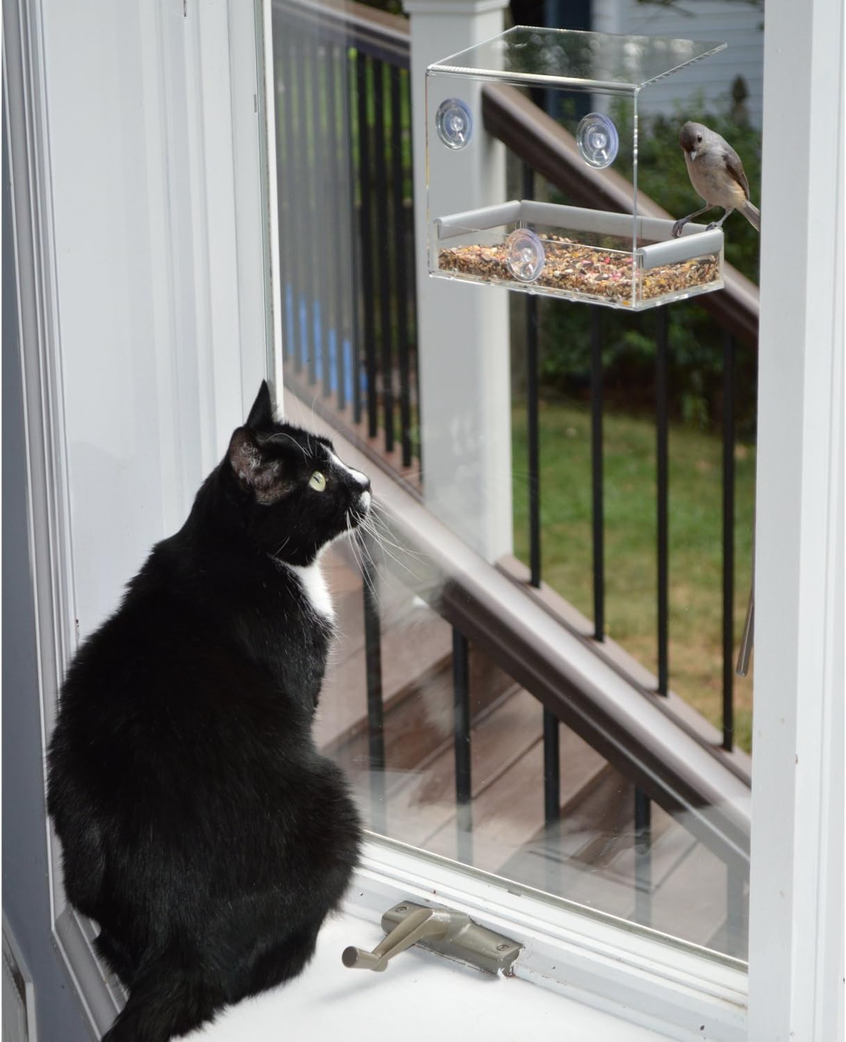 PetFusion Tranquility Window Bird Feeder in Premium Lucite Acrylic. (I) Removable Tray, (II) 3 Perches, Clear
