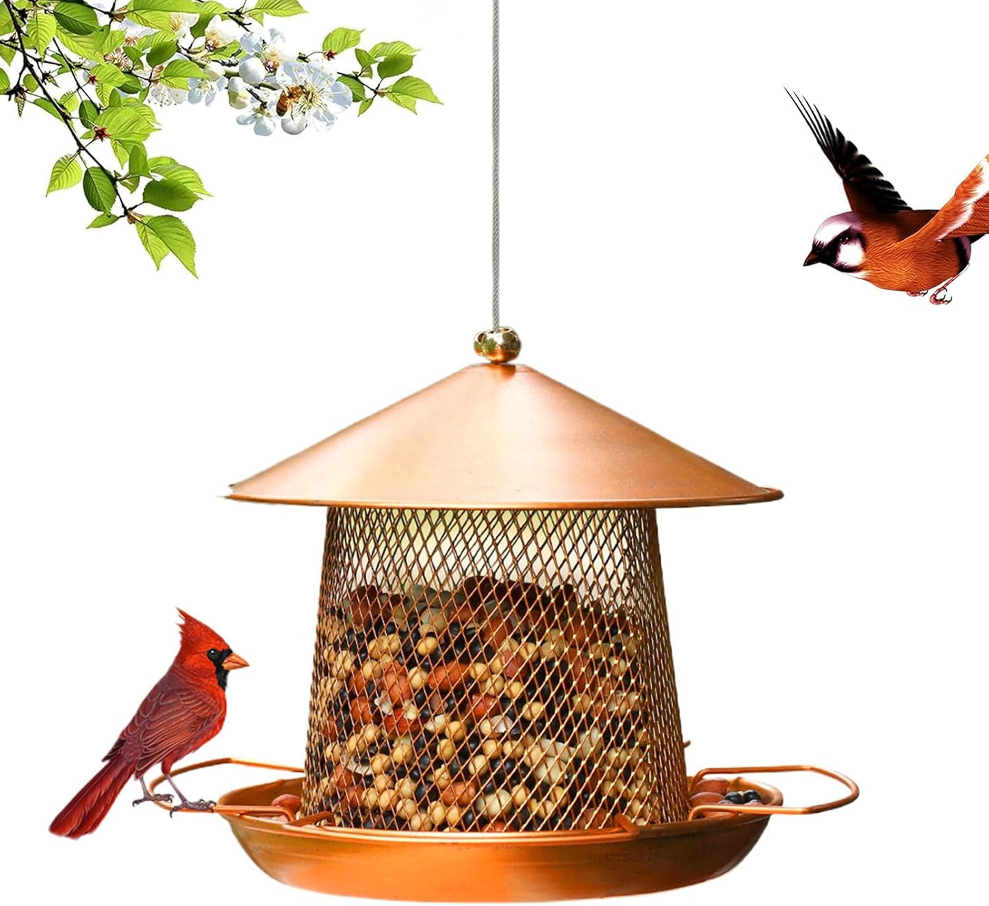 Garden Bird Feeder | Iron Art Heavy Duty | Outdoor Bird Feeder Food Station | for Finches Robins Sparrows Canary Budgies Backyard Balcony Patio Terrace