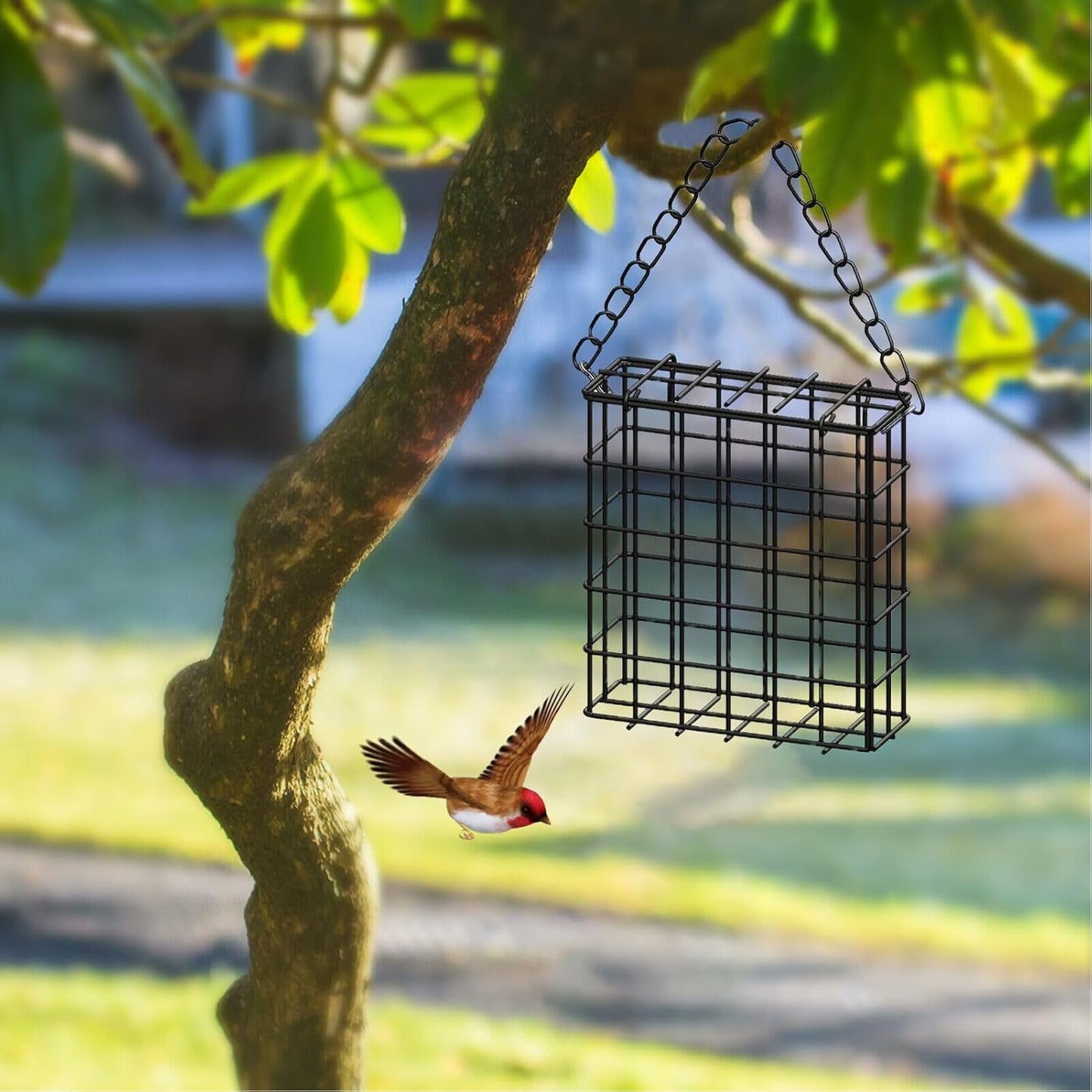 Suet Cage Bird Feeder, Metal Wire Suet Cage Feeder with Iron Wire Material and 13x13x4.5cm Size for Outdoor Garden Feeding Finch, Cardinal, Chickadee, Blue Bird