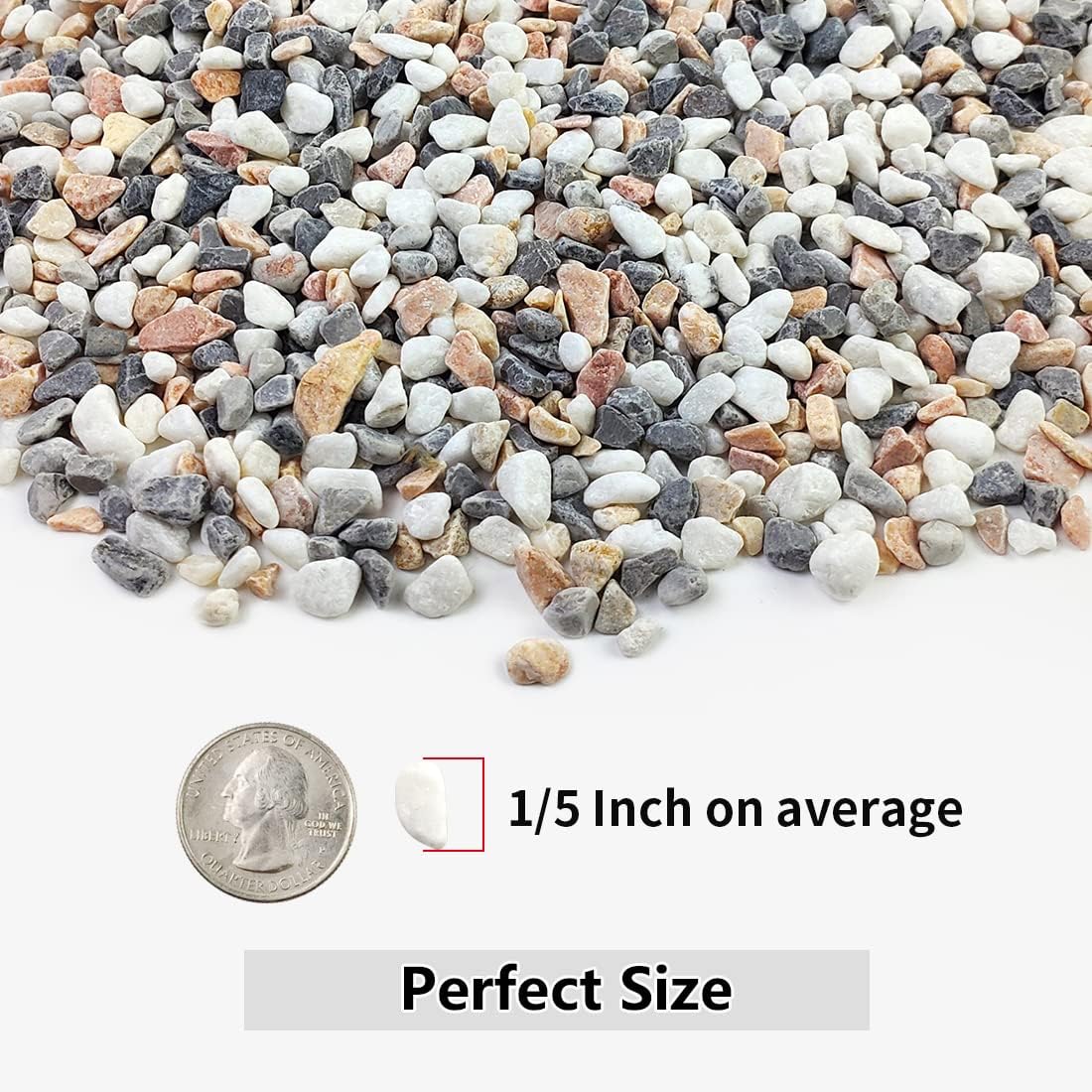 2LB Succulent and Cactus Gravel Pebbles, 1/5 Inch Natural Decorative P