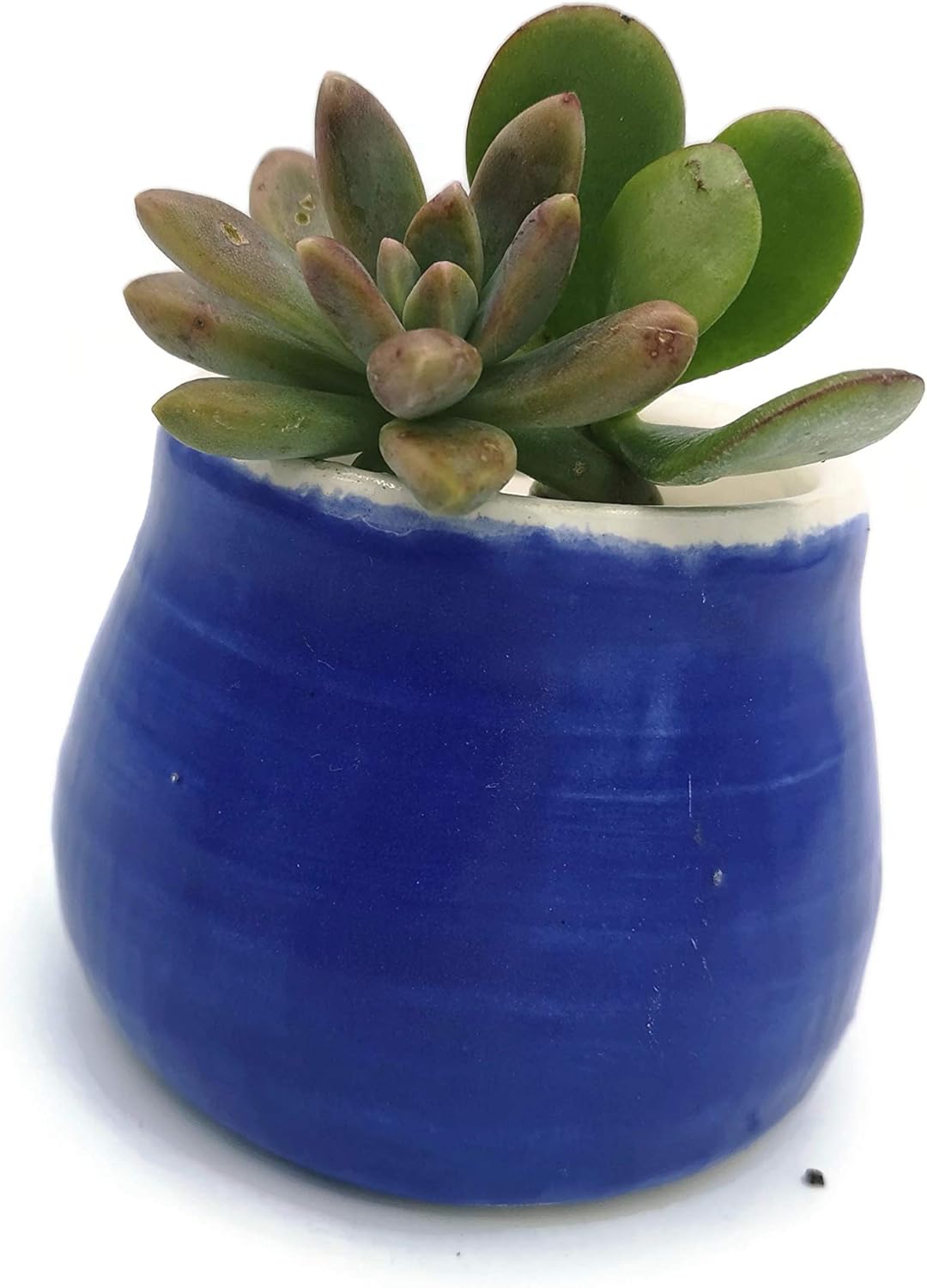Mini Succulent Planter Pot, Royal Blue Ceramic Decorative Vase for Cactus, Office Desk Accessories for Men