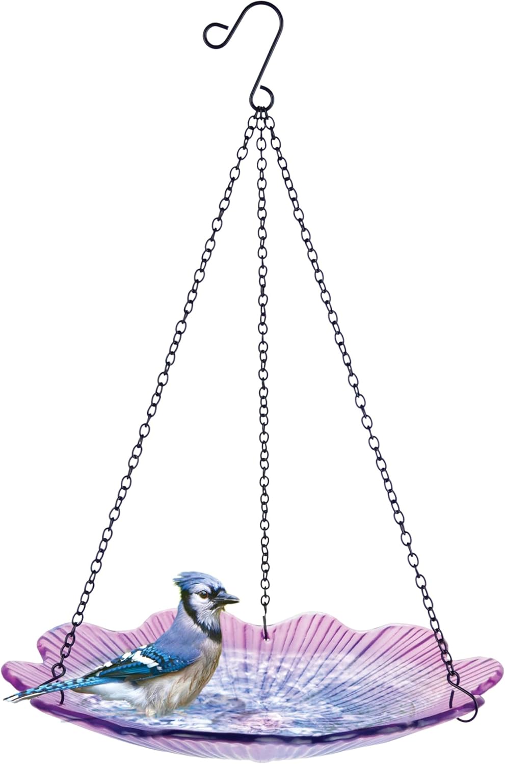 11" Recycled Glass Hanging Combination Bird Feeder and Bath for Wild Birds and Outdoor Décor, 0.625 Quart Capacity, Violet Begonia Floral Design, Hanging Chains Included