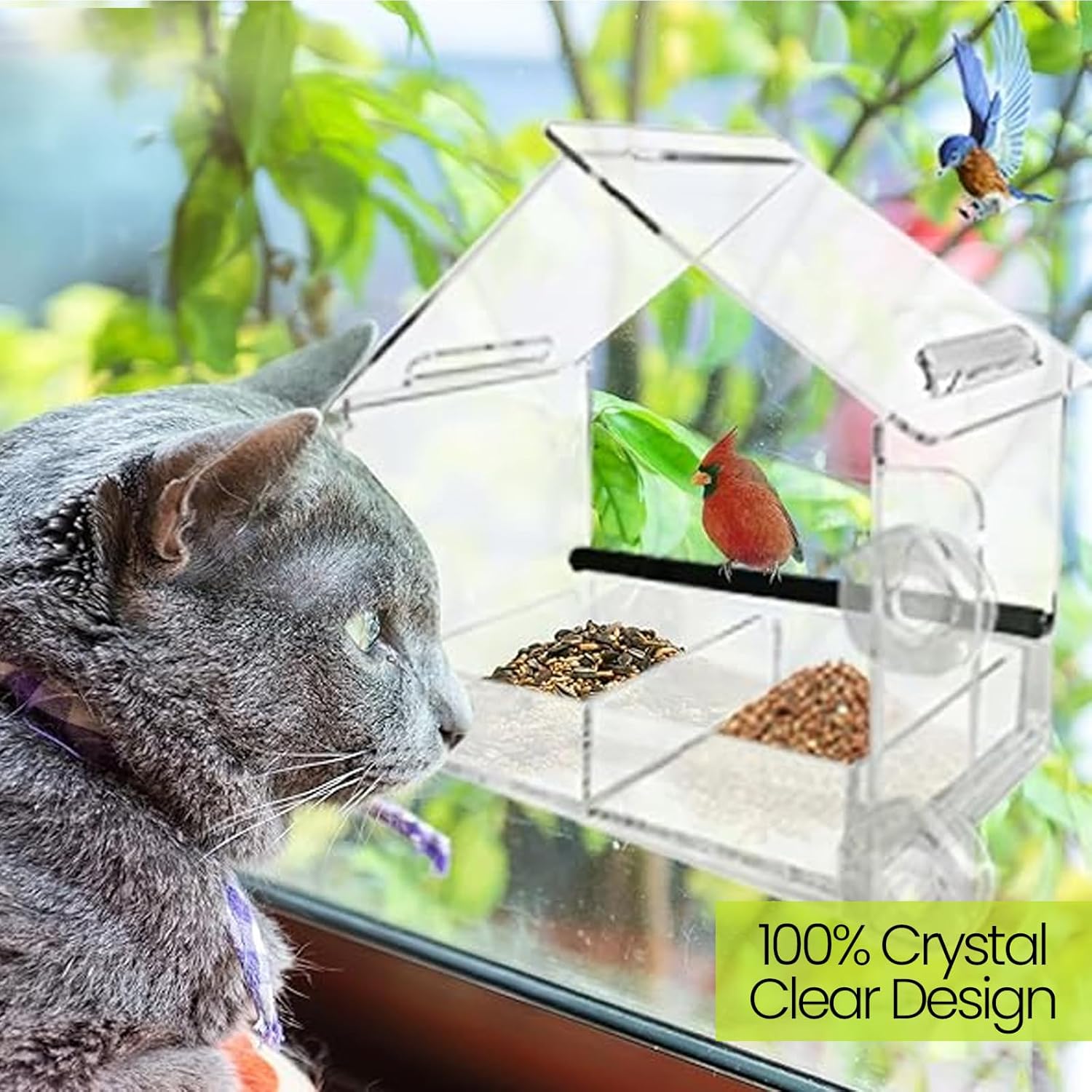 Nature Gear Window Bird Feeder with Strong Suction Cups, Clear Acrylic