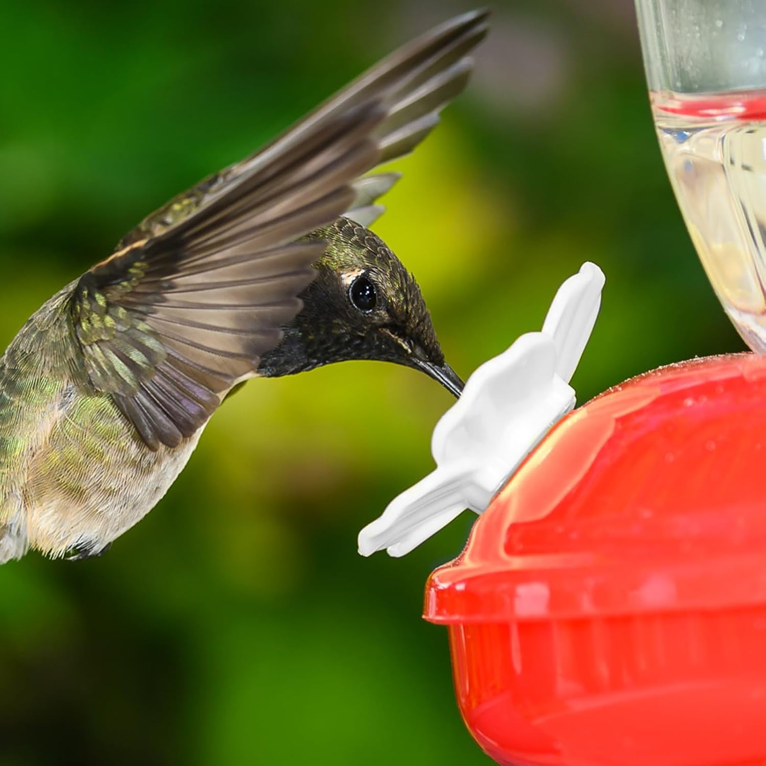 30 Sets Hummingbird Feeders Flowers, Multicolor Replaceable Hummingbir
