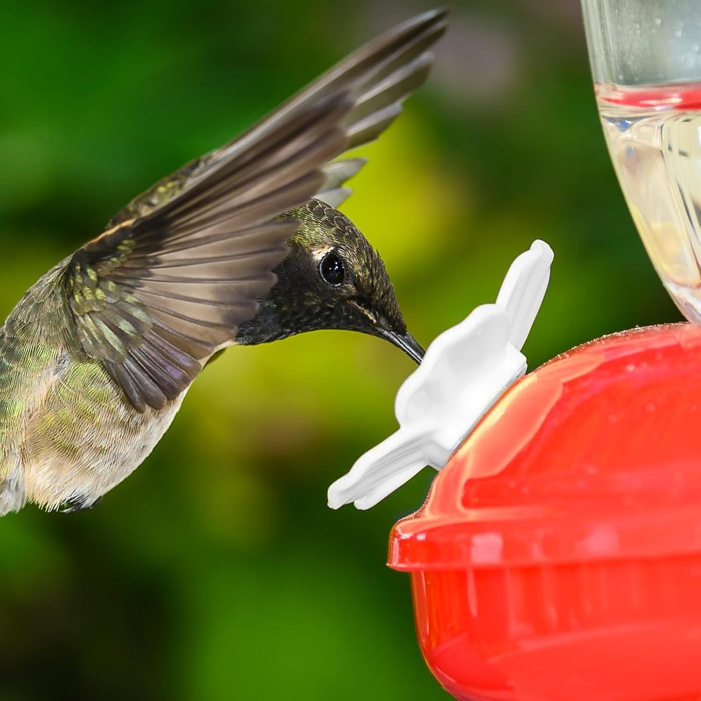 30 Sets Hummingbird Feeders Flowers, Multicolor Replaceable Hummingbird Bird Feeder Flower Accessories Feeding Port Flowers for Outdoors Hanging Feeders(White)