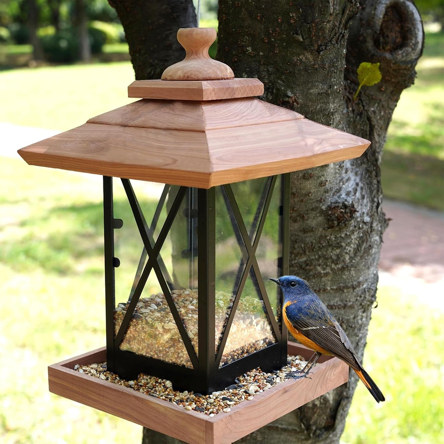 Cedar & Metal Frame Bird Feeder for Outdoors Hanging Mount Large Capac