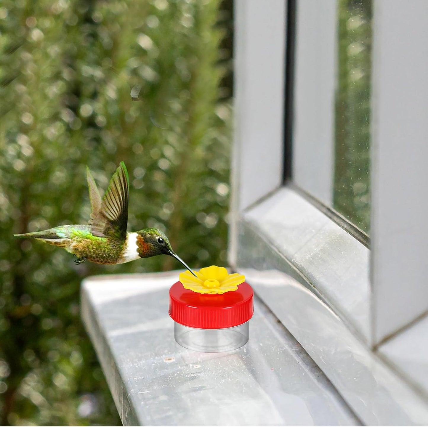 Handheld Small Hummingbird Feeders, 2pcs Mini Hummingbird Hand Feeder with Cleaning Brush, Window Plastic Humming Bird feeders for Outdoors