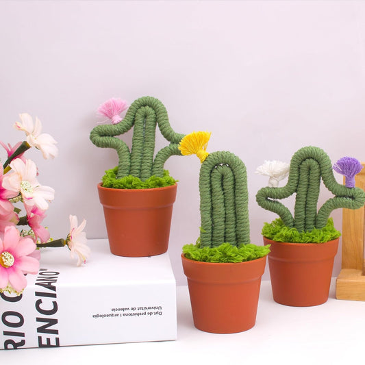 3pcs Handmade Macrame Artificial Cactus, Fake Cactus Potted Plants in Planter Pot, Cute Plant for Friends, Lovers, Classmates and Home Decor Indoor Office Desk