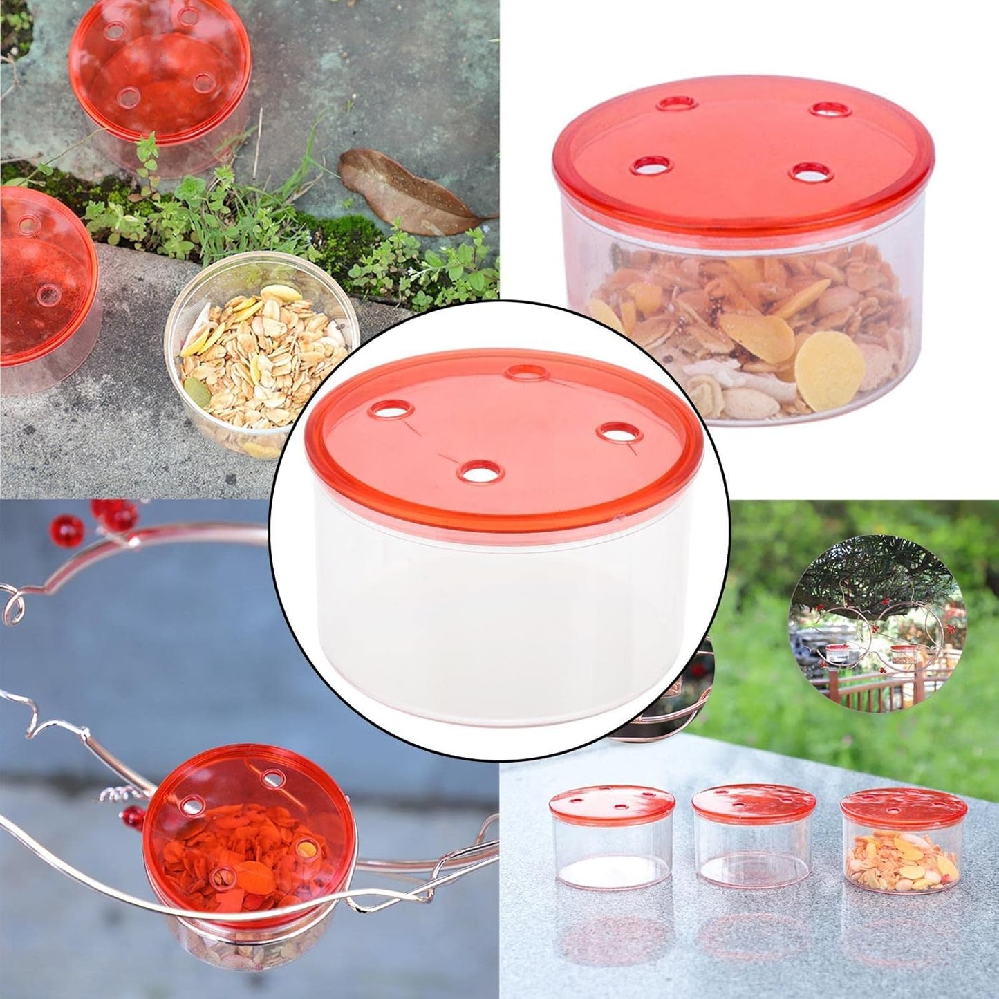 Attract Hummingbirds with Plastic Hummingbird Feeder Box - Durable and Easy to Clean, Perfect for Garden and Patio