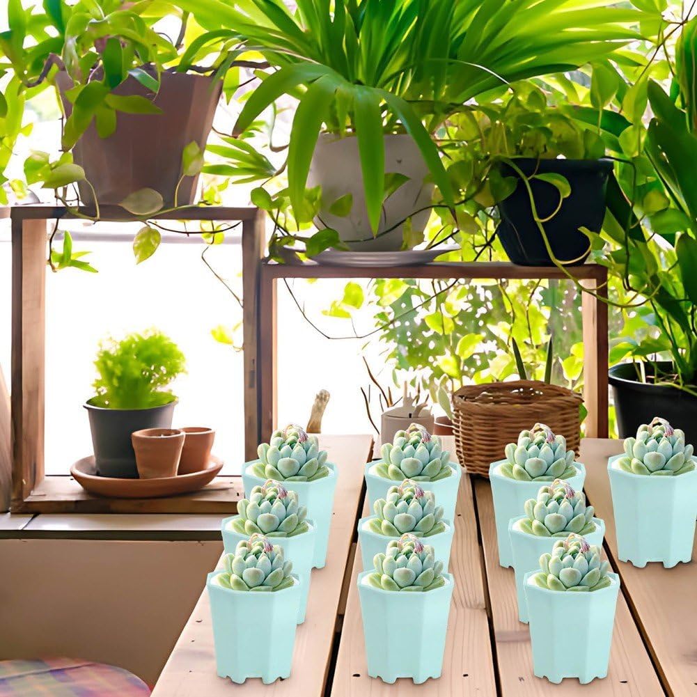 10pcs Octagonal Plant Pots, Plastic Flower Pots Mini Nursery Pots for 