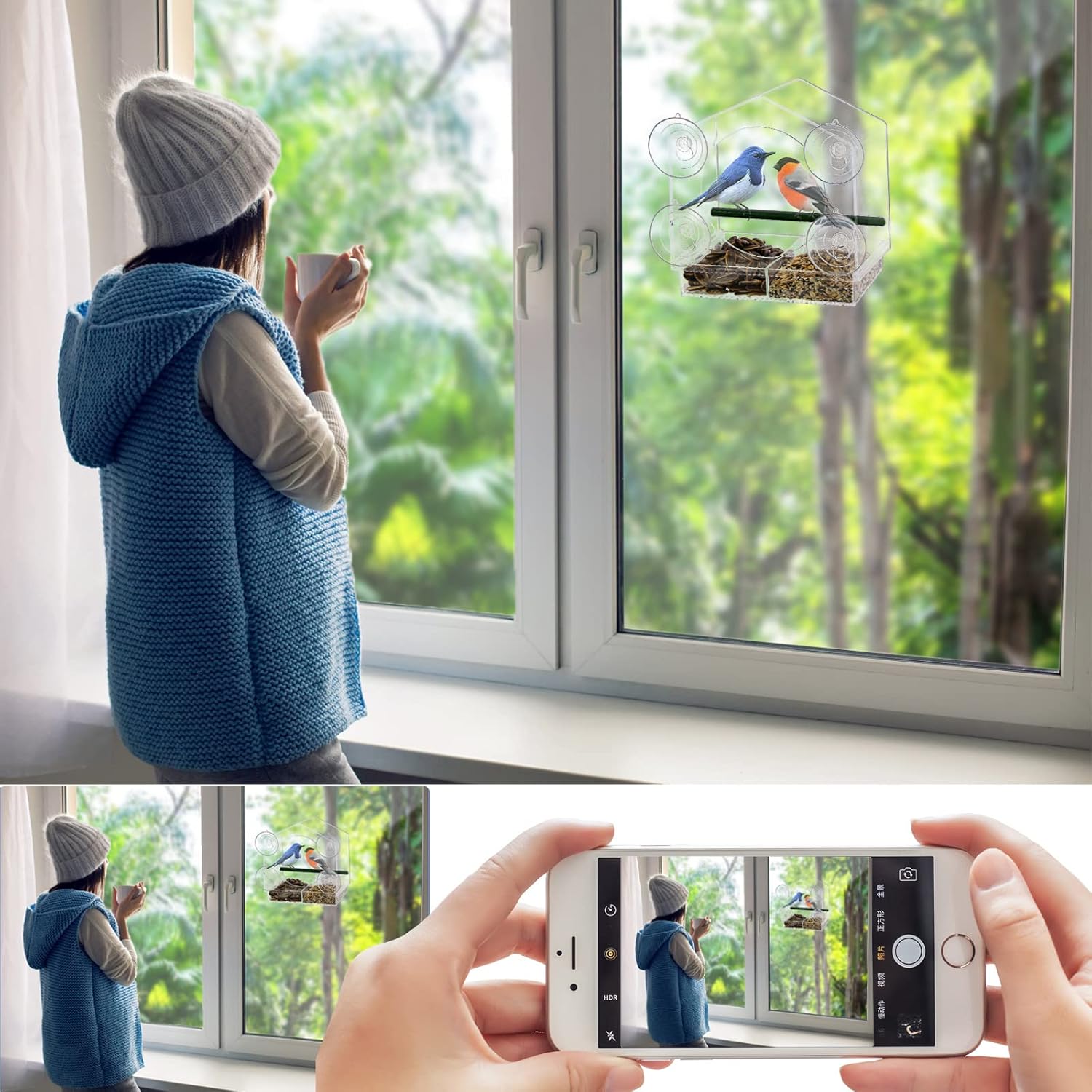 Acrylic Window Bird Feeder with 4 Strong Suction Cups, Clear and Trans