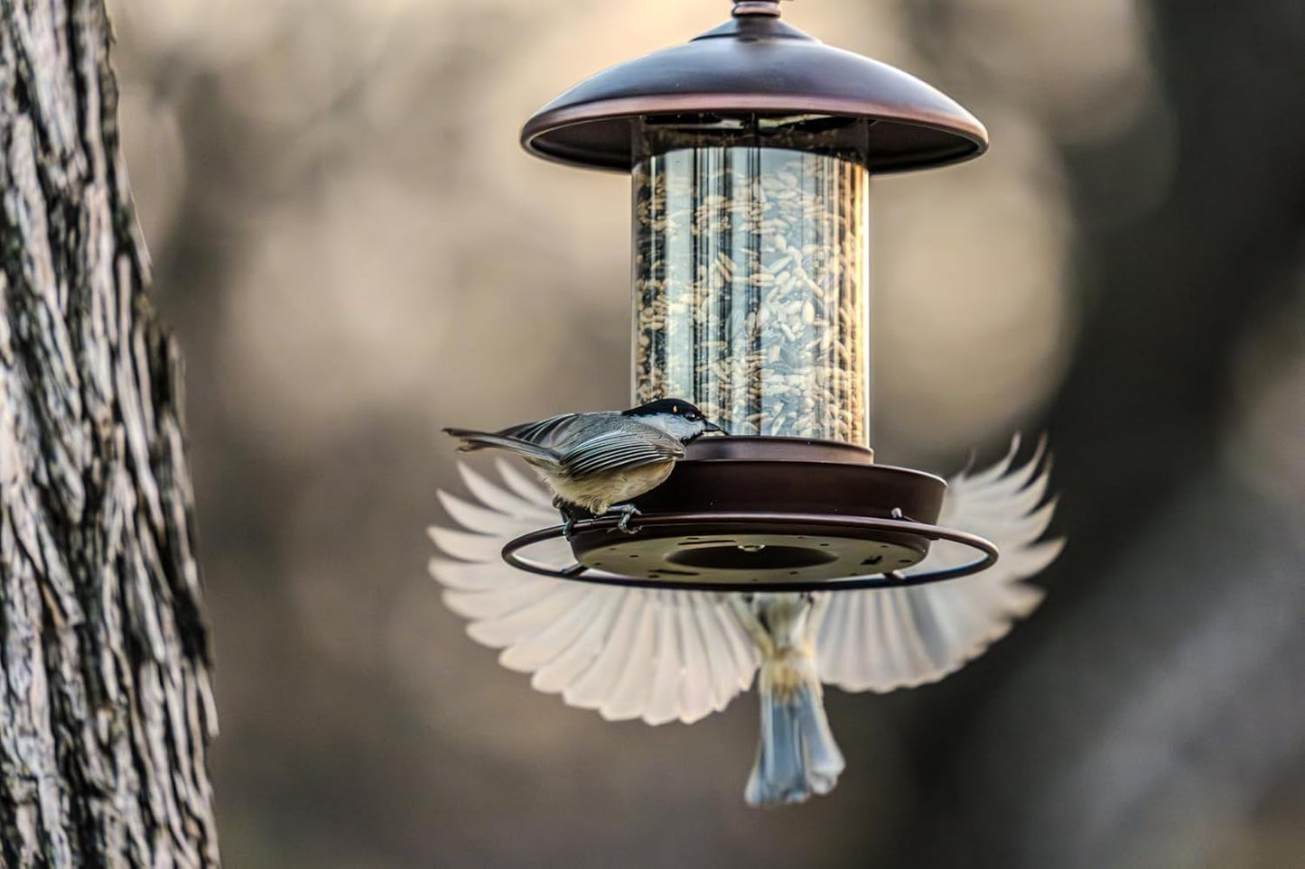 Metal Roof Bird Feeder - Chew Proof for Outdoor Hanging Wild Bird Seed