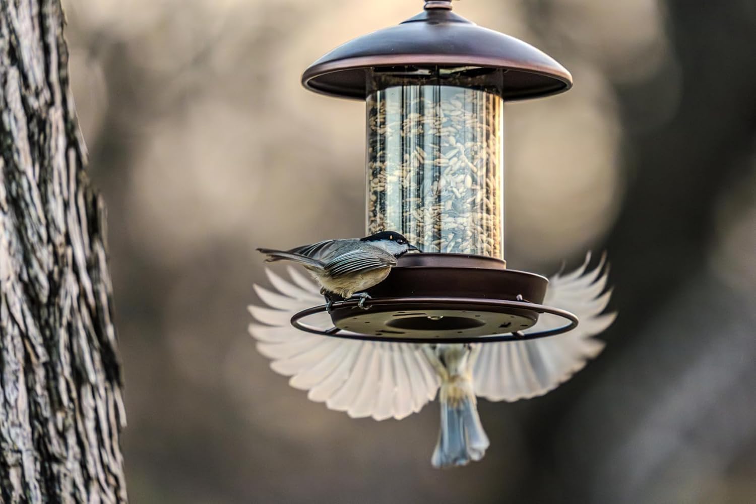 Metal Roof Bird Feeder - Chew Proof for Outdoor Hanging Wild Bird Seed