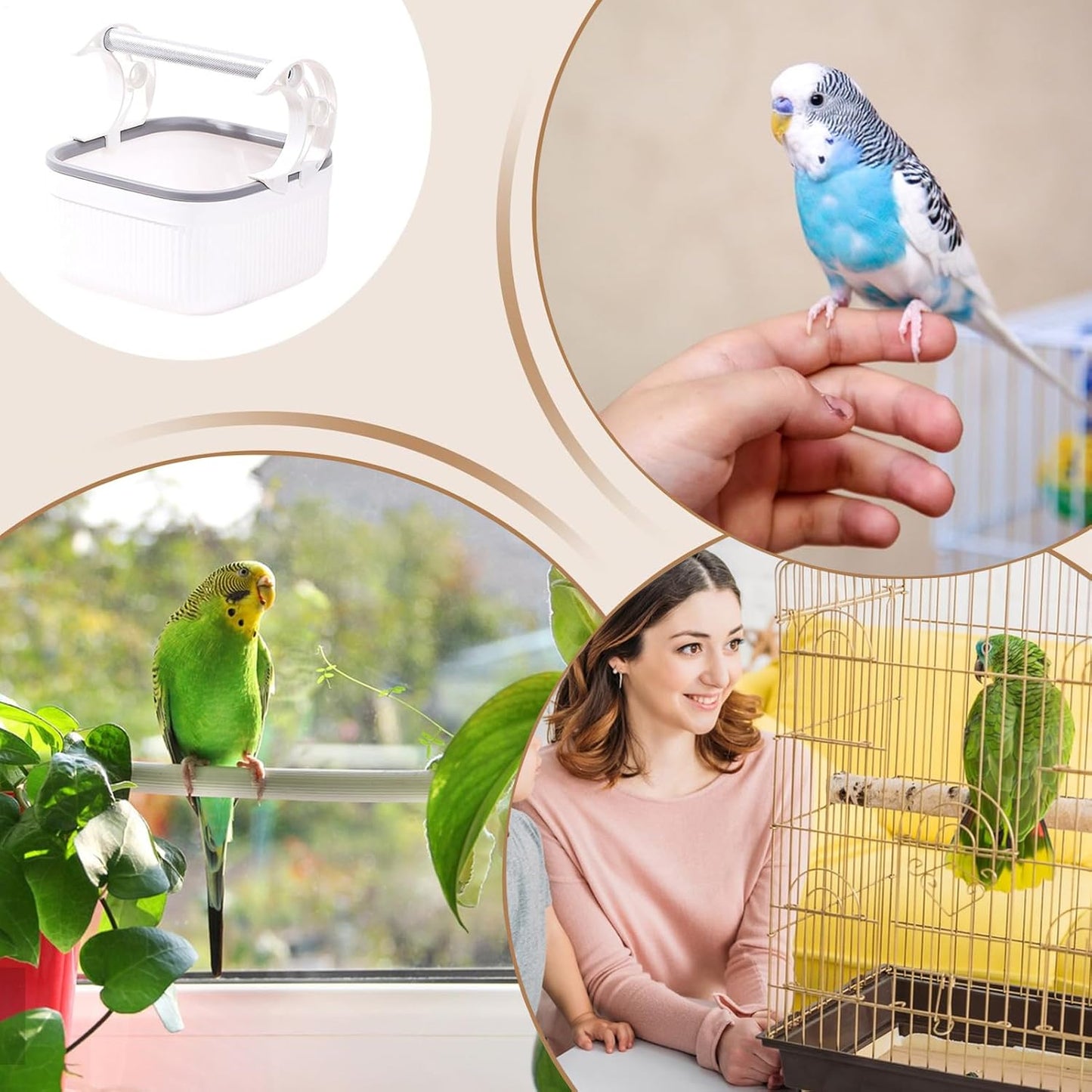 Bird Feeder – Transparent Cage Design, Anti-Slip Perch Feature, Stainless Watering Supply, Easy Fill Build, Premium Quality Outdoor Accessory, Feeding Tool for Patio Balcony Backyard