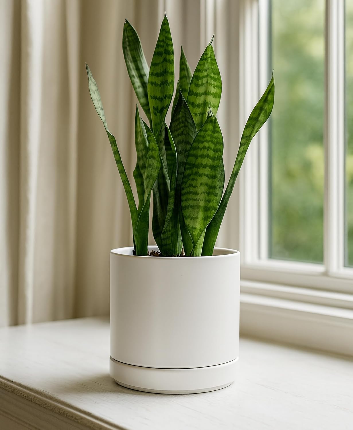 D'vine Dev Set of 2 Plants Pots, 6.5 Inch Ceramic Planter Pot for Plan