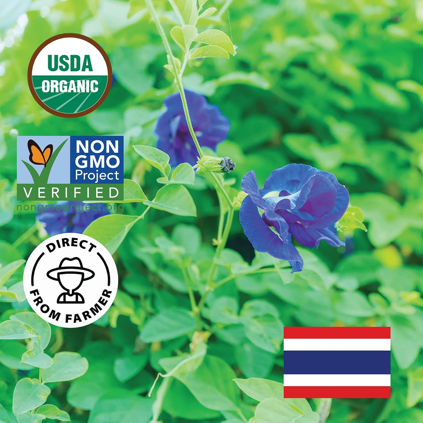 INCAS 100% USDA Organic Butterfly Pea Flower 4.41 oz (375+ Cups) DIREC