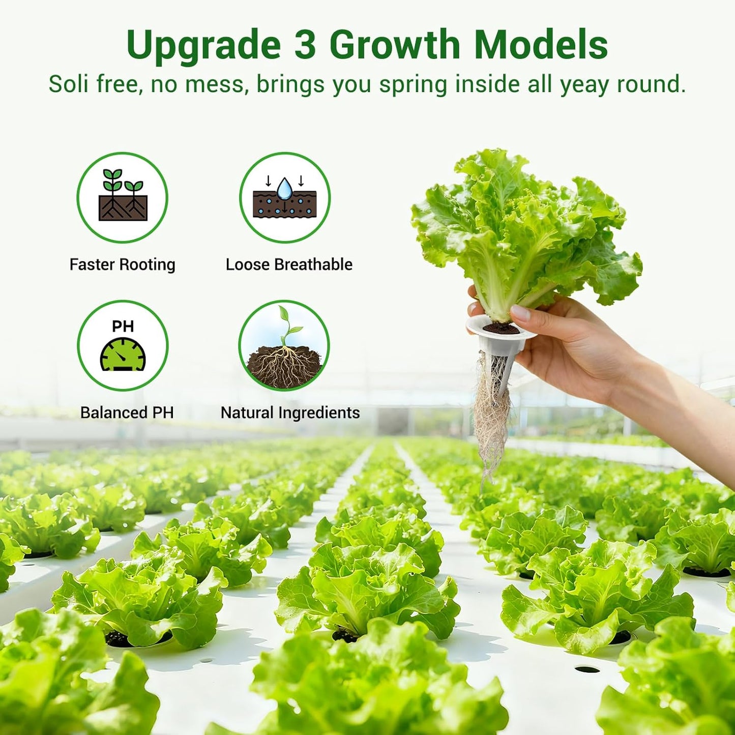 50 Pack Hydroponic Grow Sponges Seed Pods Replacement, Growing System 