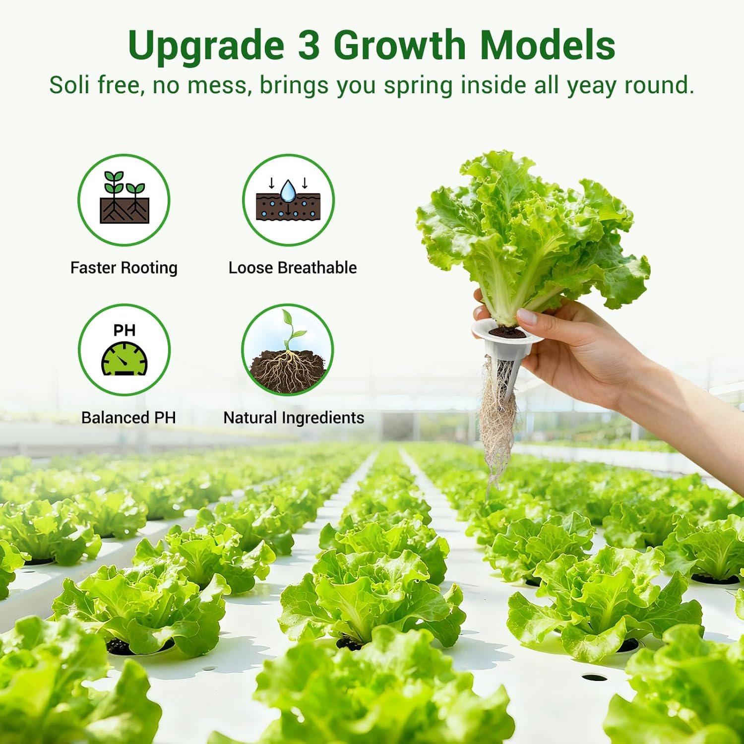 50 Pack Hydroponic Grow Sponges Seed Pods Replacement, Growing System 