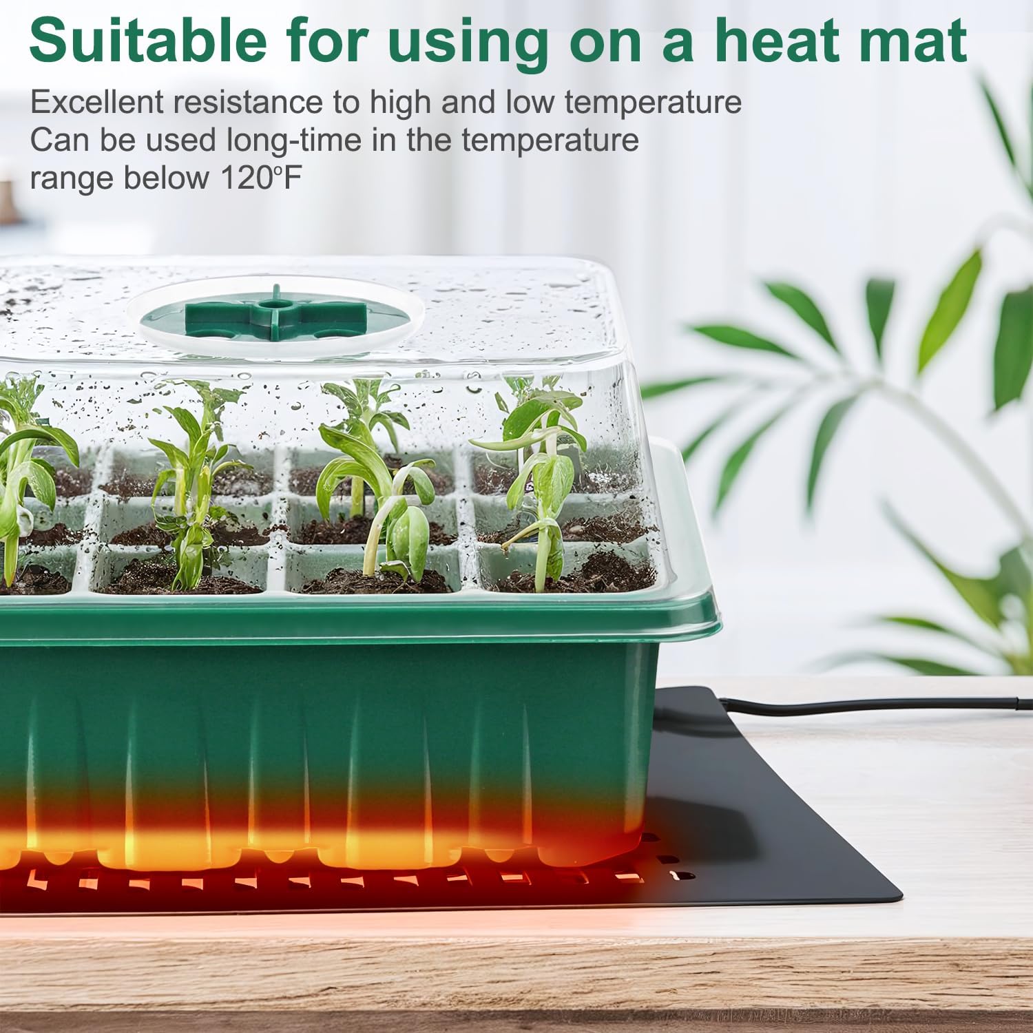 10 Pack Seed Starter Tray Seed Starter Kit (120 Cells Total Tray) with