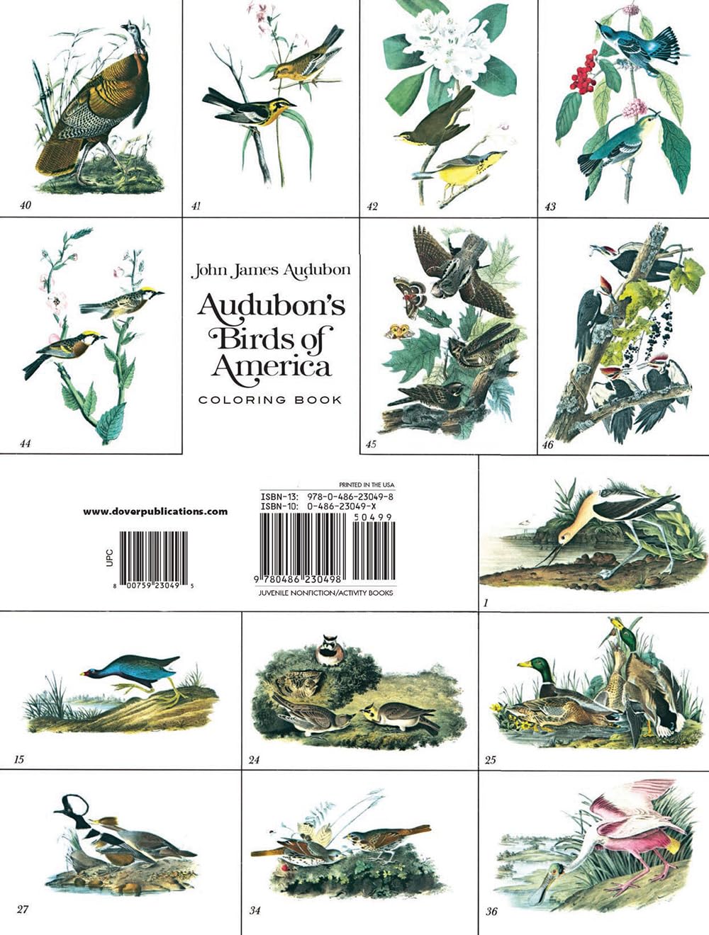 Audubon's Birds of America Coloring Book