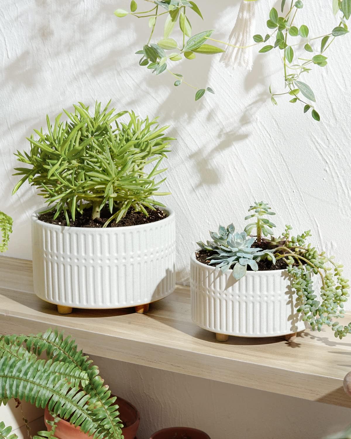 LE TAUCI Succulent Pots, 6.5+8 Inch Ceramic Indoor Plant Pot with Drai