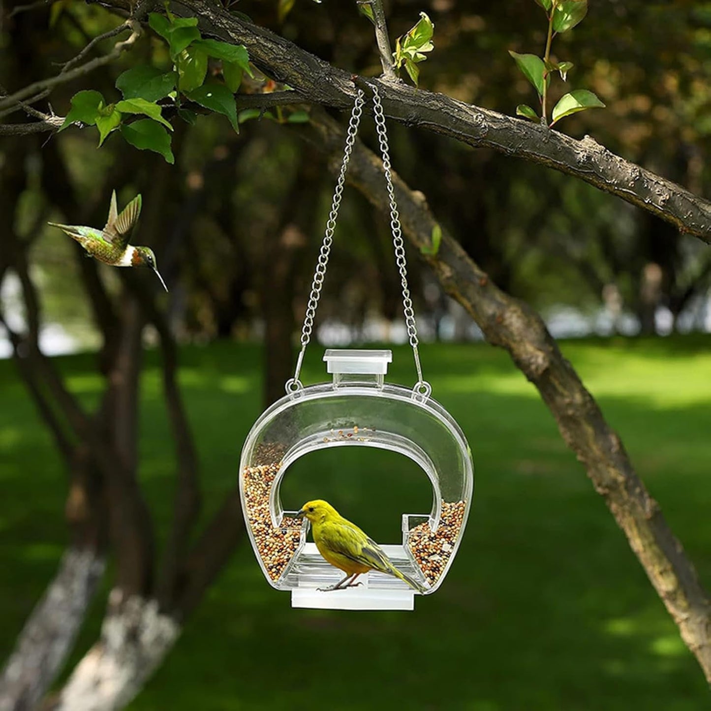 Bird Feeder, Window Feeder, Clear Feed with Perching Stand, Garden Decor with Sturdy Design, Bird Supplies, Window Feed Kit for Finches Bluebirds Lovebird Parakeet Balcony Tree Outdoor Yard Indoor
